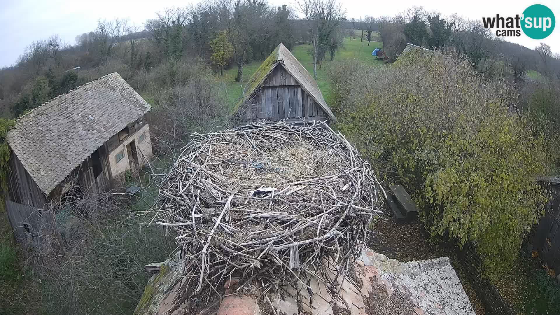 U živo Europsko selo roda – Park prirode Lonjsko polje