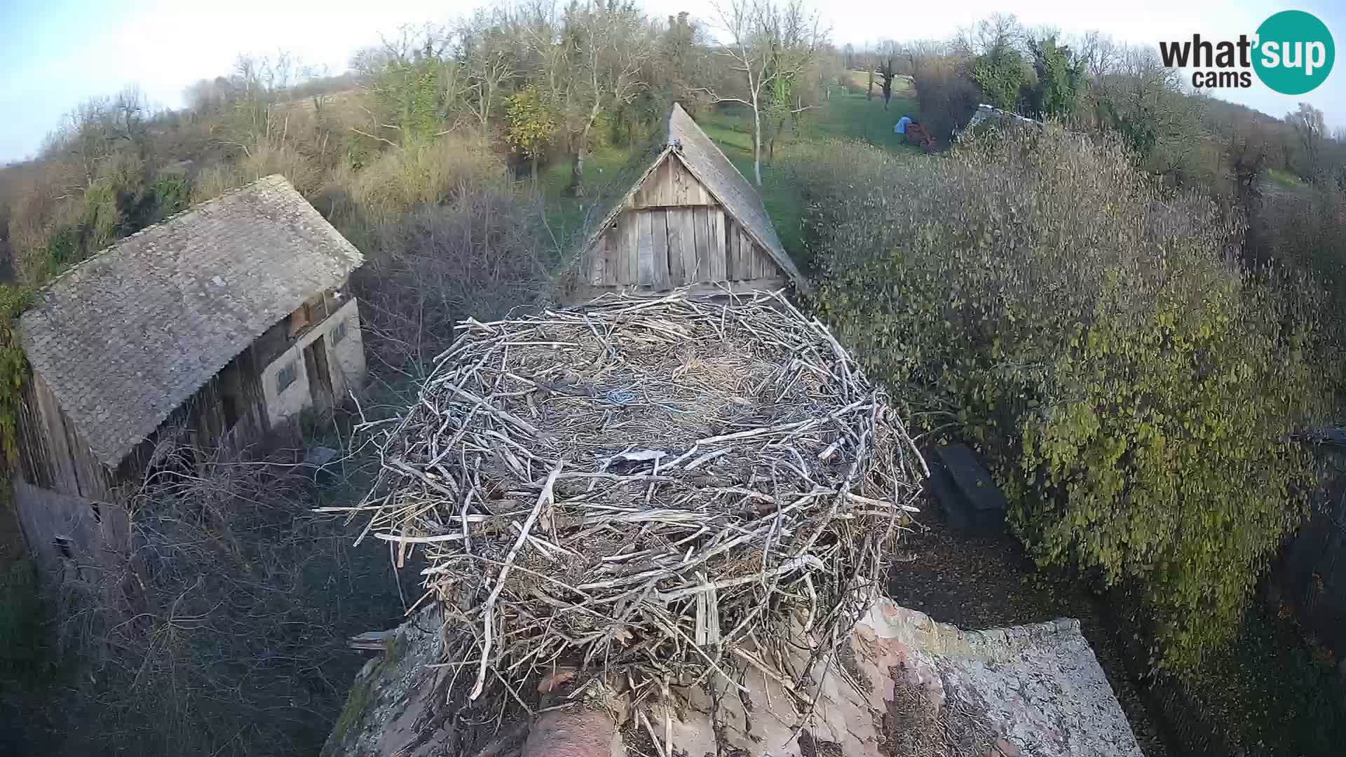 U živo Europsko selo roda – Park prirode Lonjsko polje