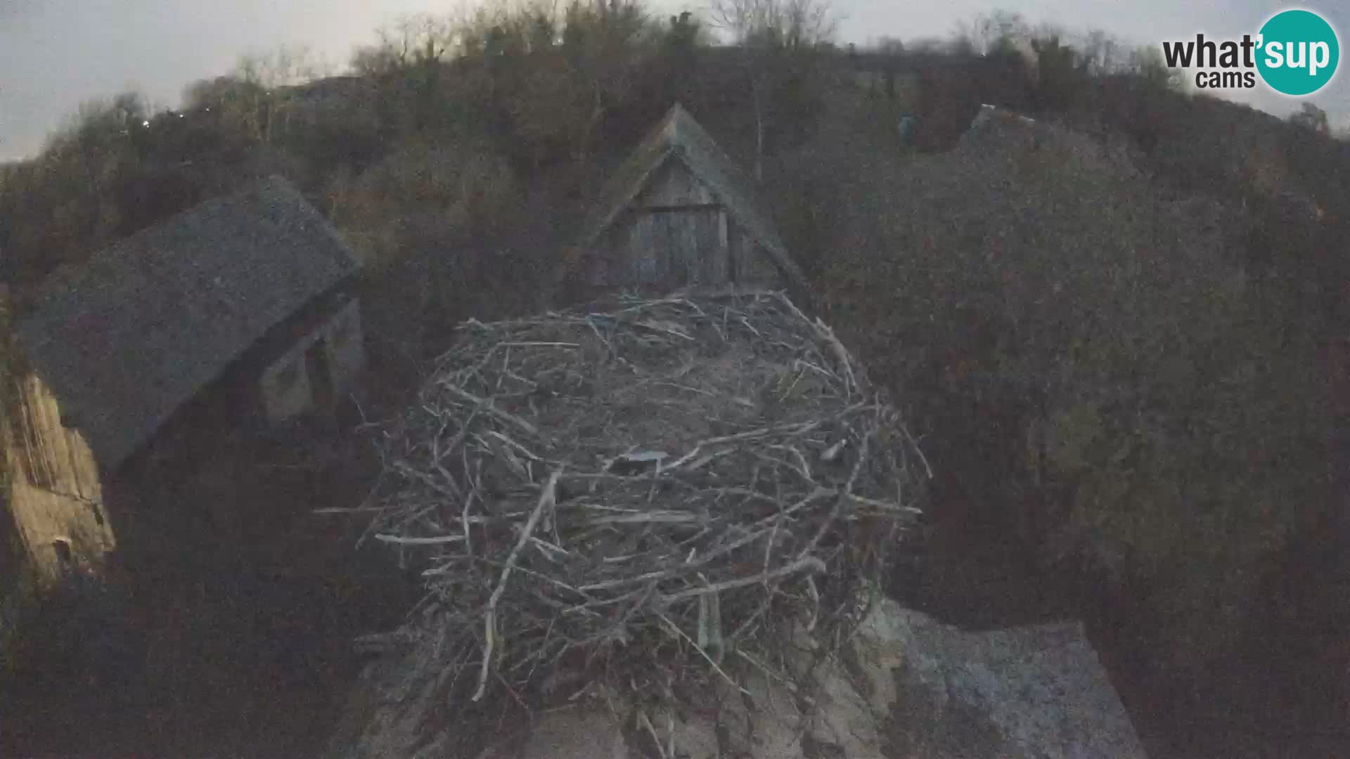 U živo Europsko selo roda – Park prirode Lonjsko polje