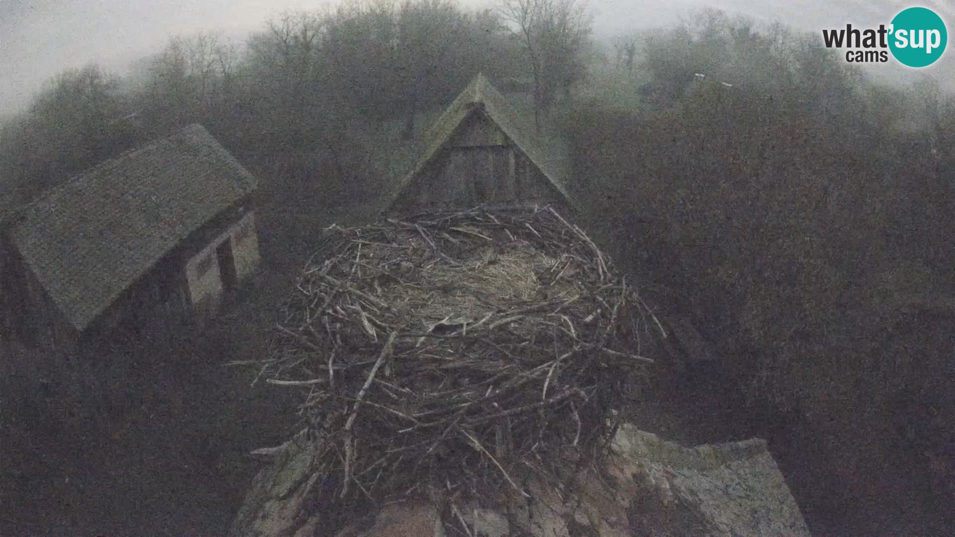U živo Europsko selo roda – Park prirode Lonjsko polje