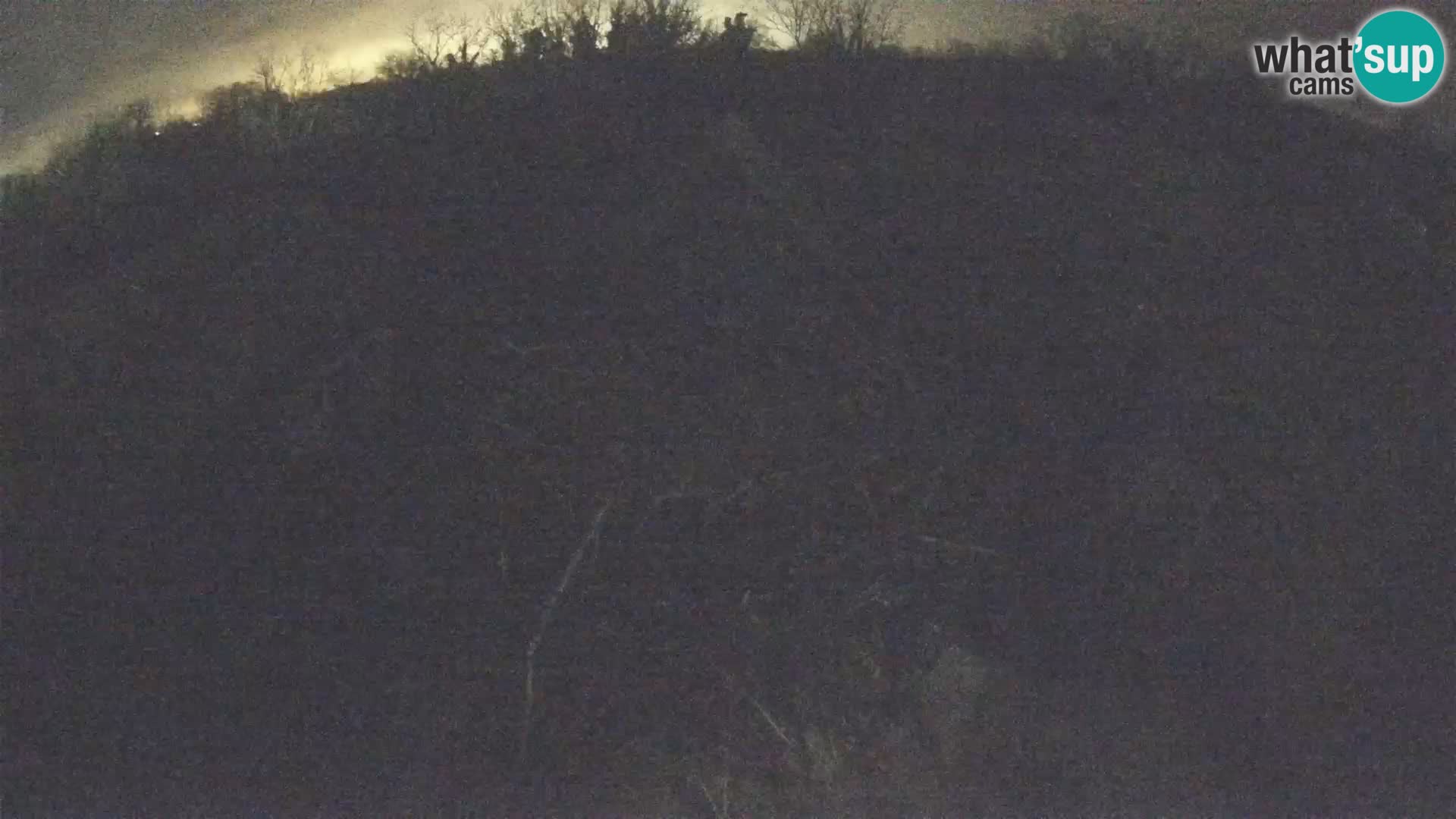 Webcam Europäisches Storchendorf – Naturpark Lonjsko polje