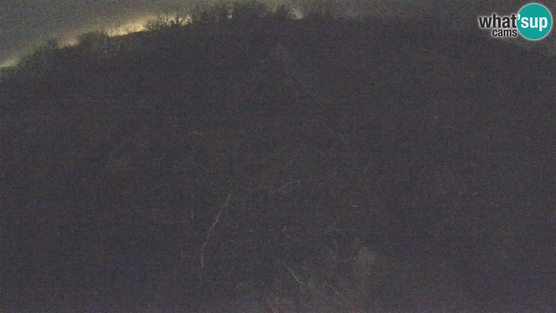 Webcam Europäisches Storchendorf – Naturpark Lonjsko polje