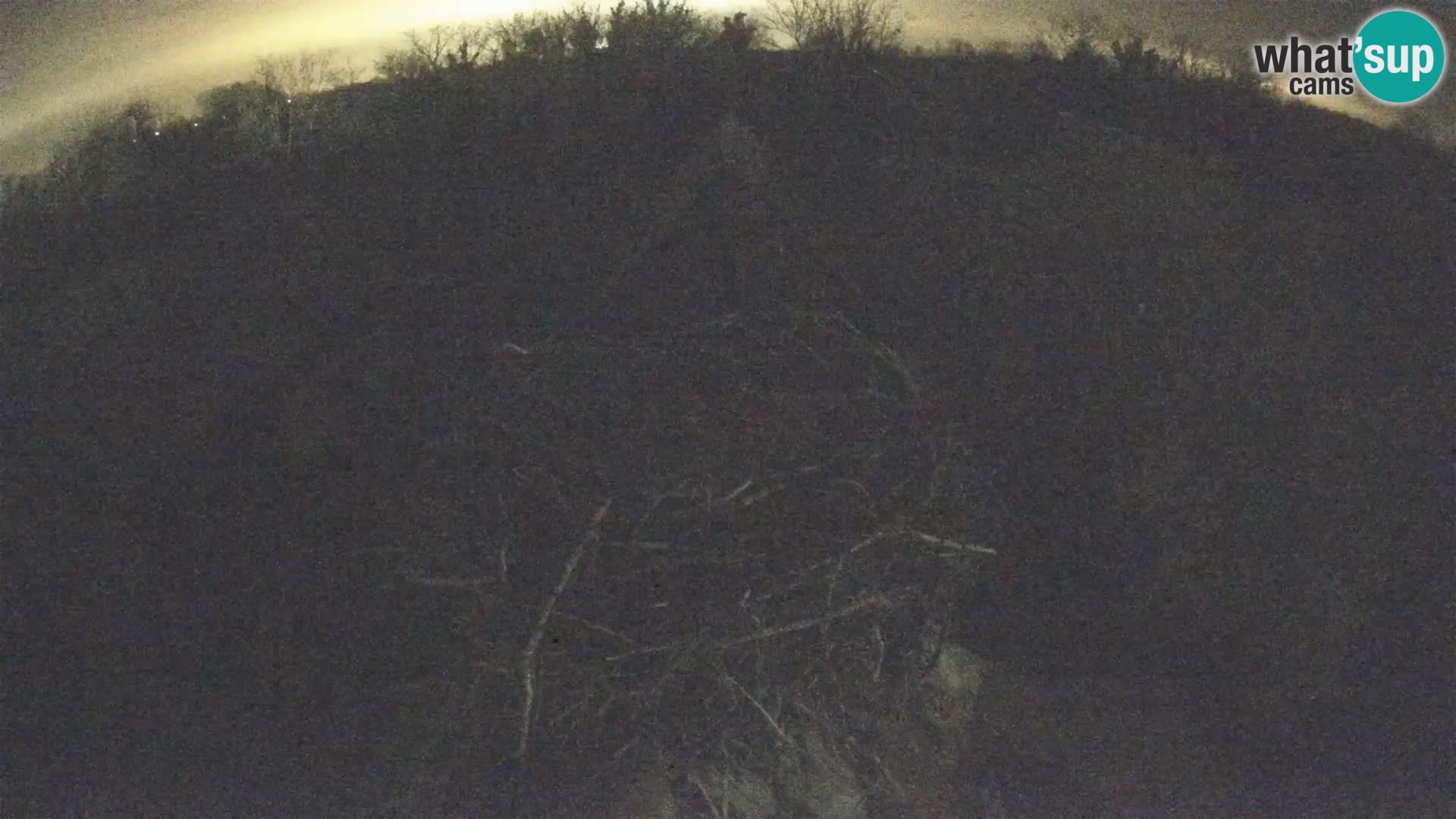 U živo Europsko selo roda – Park prirode Lonjsko polje