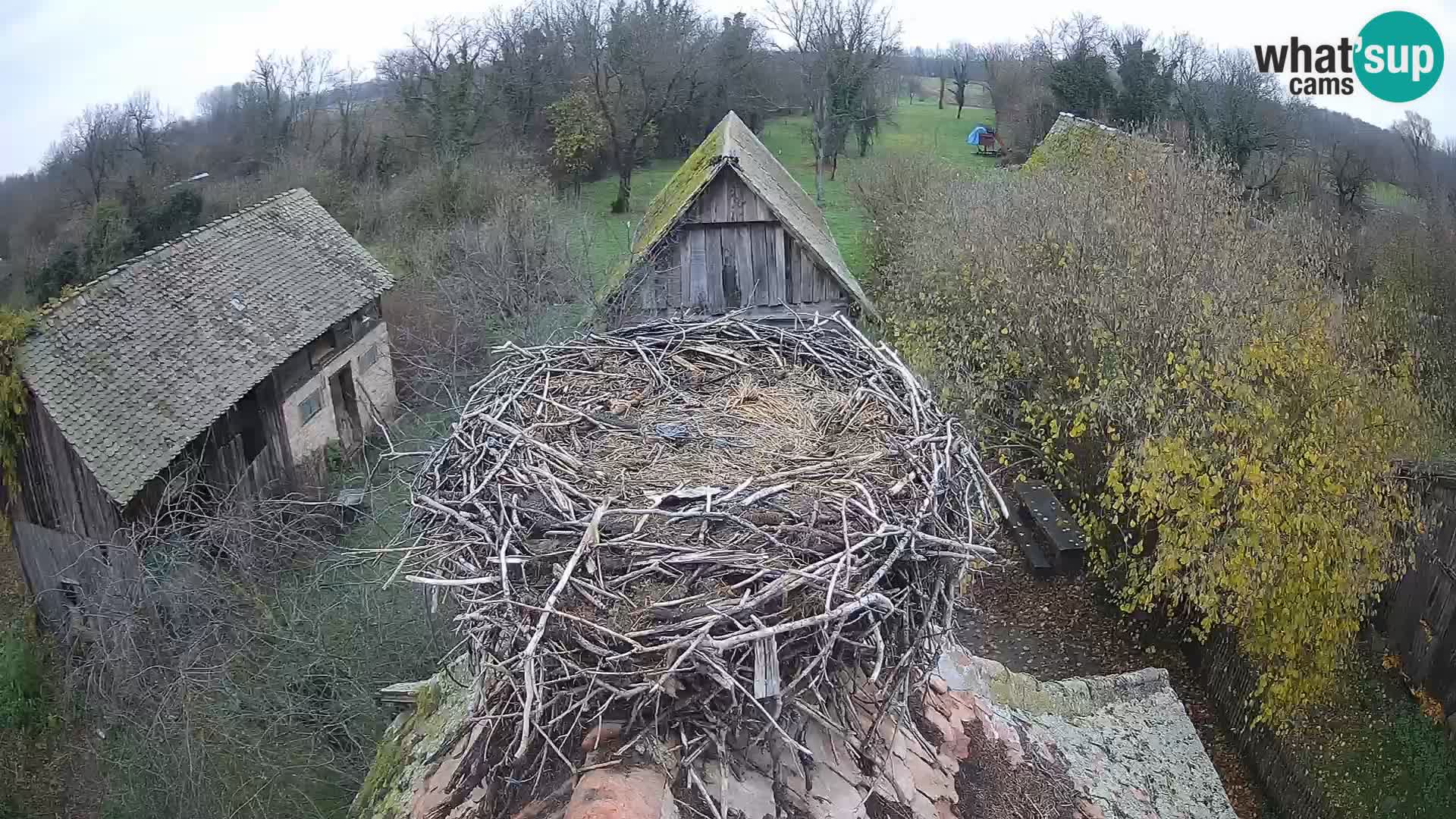 U živo Europsko selo roda – Park prirode Lonjsko polje
