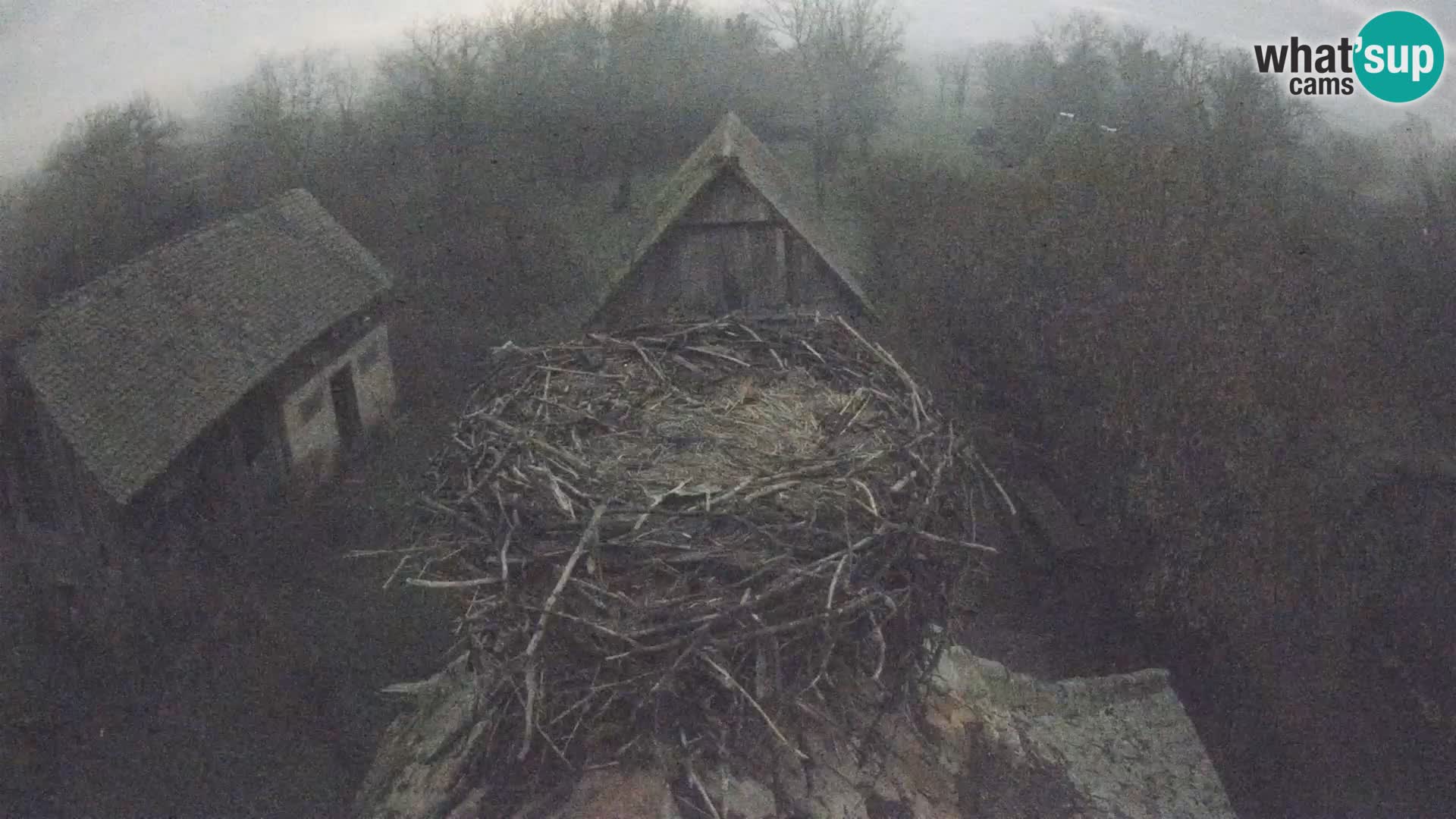 U živo Europsko selo roda – Park prirode Lonjsko polje