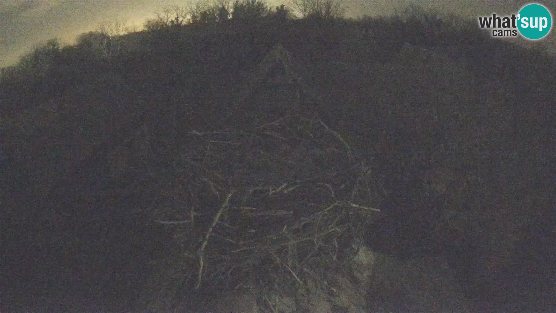 U živo Europsko selo roda – Park prirode Lonjsko polje