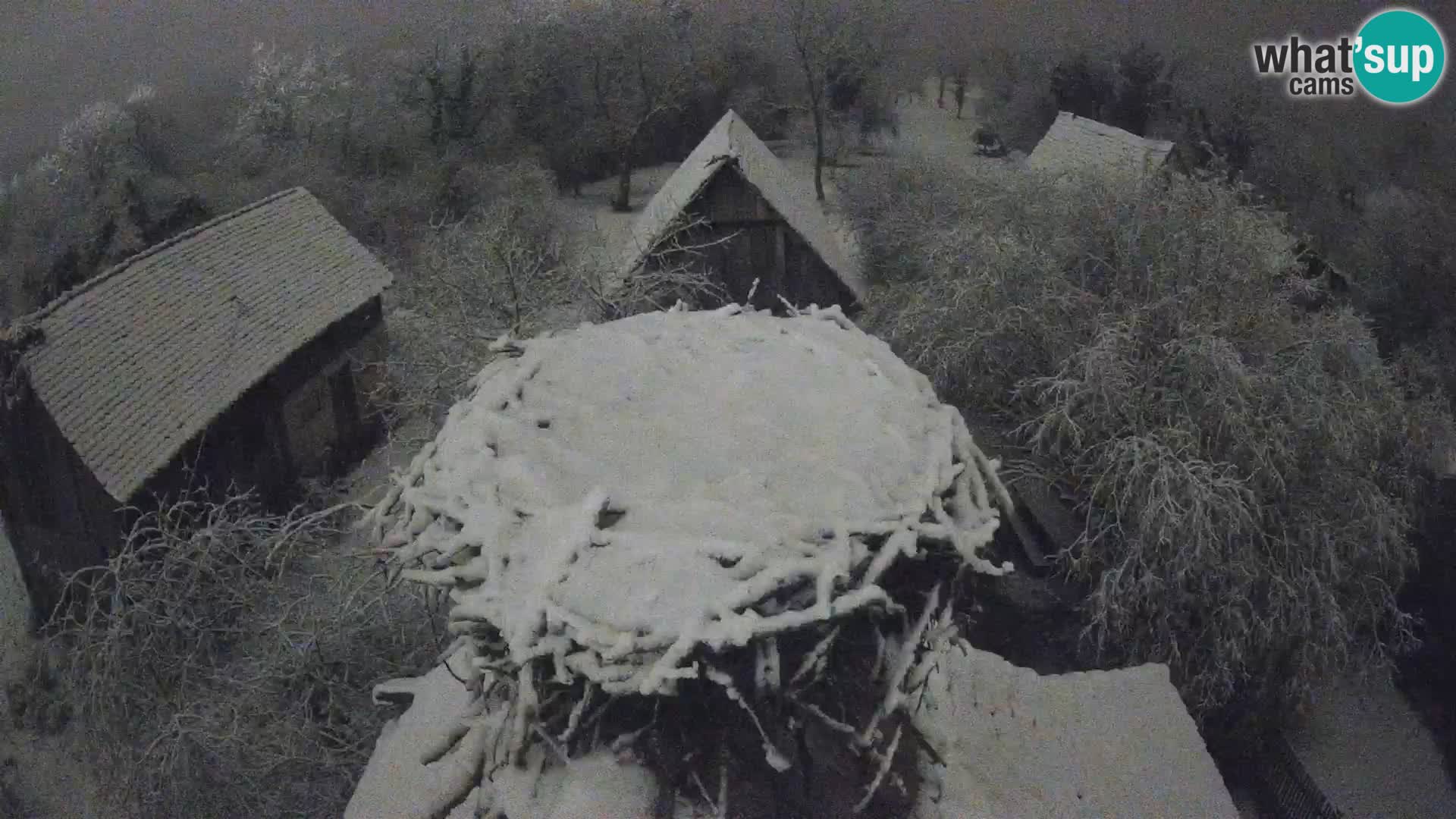 U živo Europsko selo roda – Park prirode Lonjsko polje
