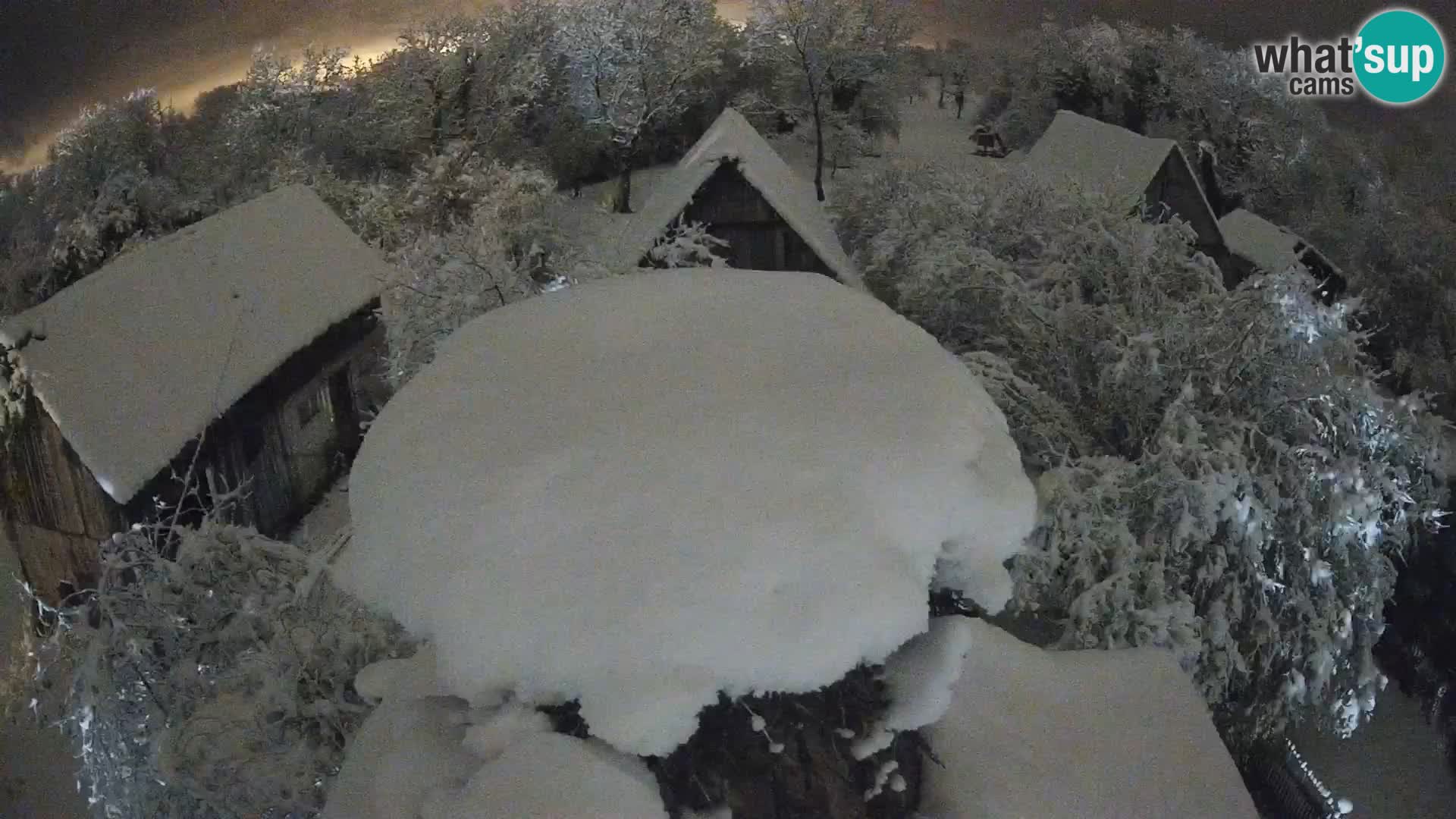 Villaggio delle cicogne europee webcam Parco naturale di Lonjsko polje