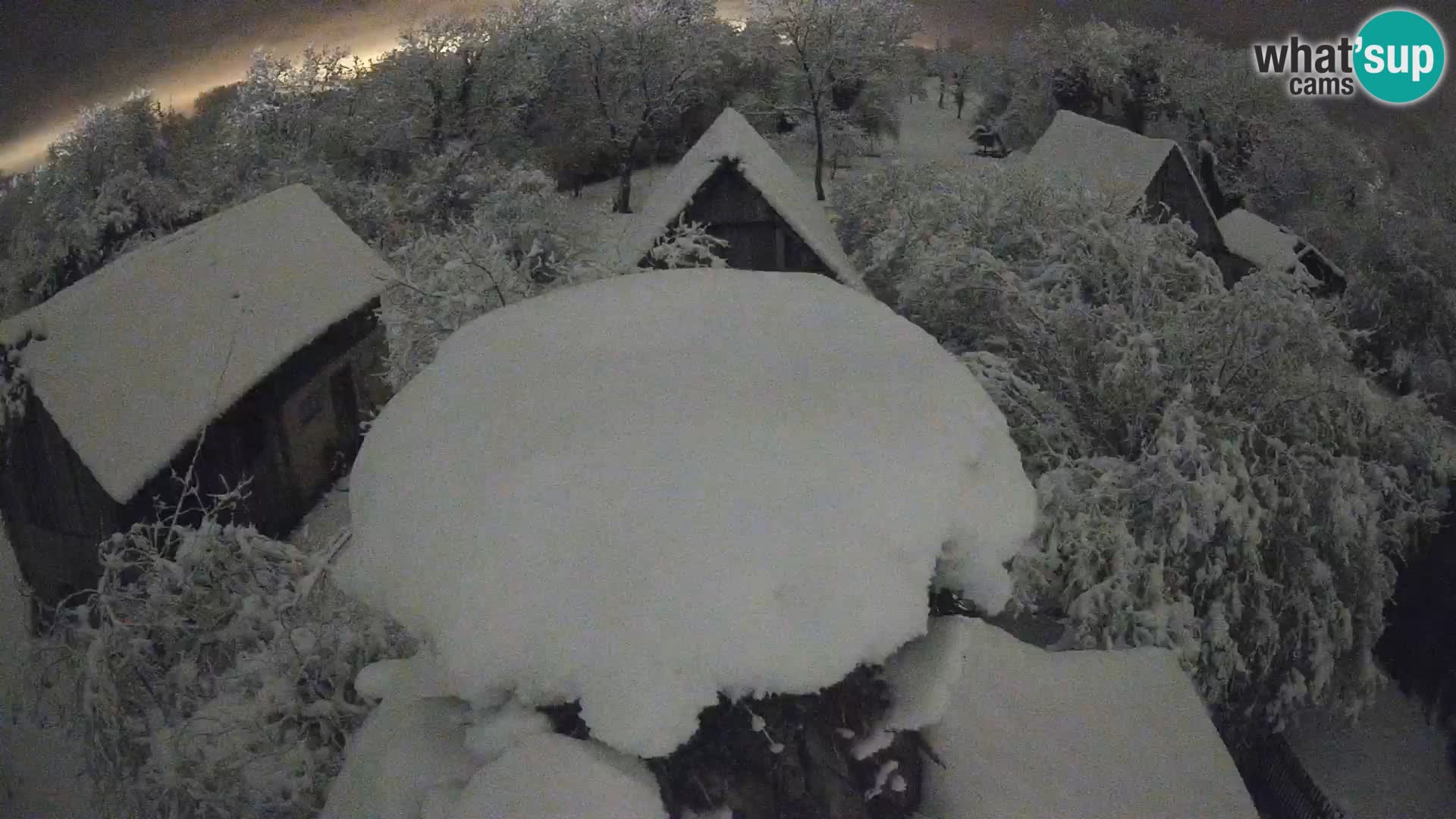 Villaggio delle cicogne europee webcam Parco naturale di Lonjsko polje