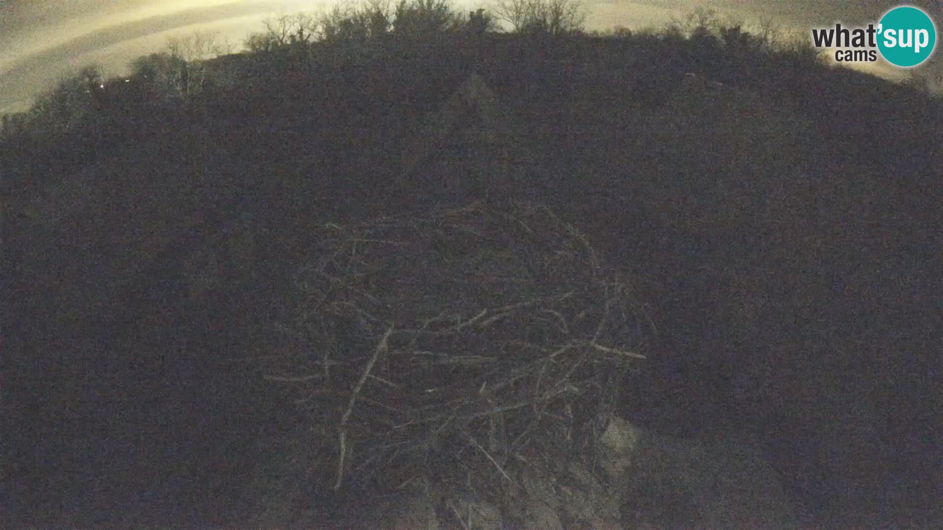 Pueblo europeo de cigüeñas camera en vivo Parque Natural Lonjsko polje