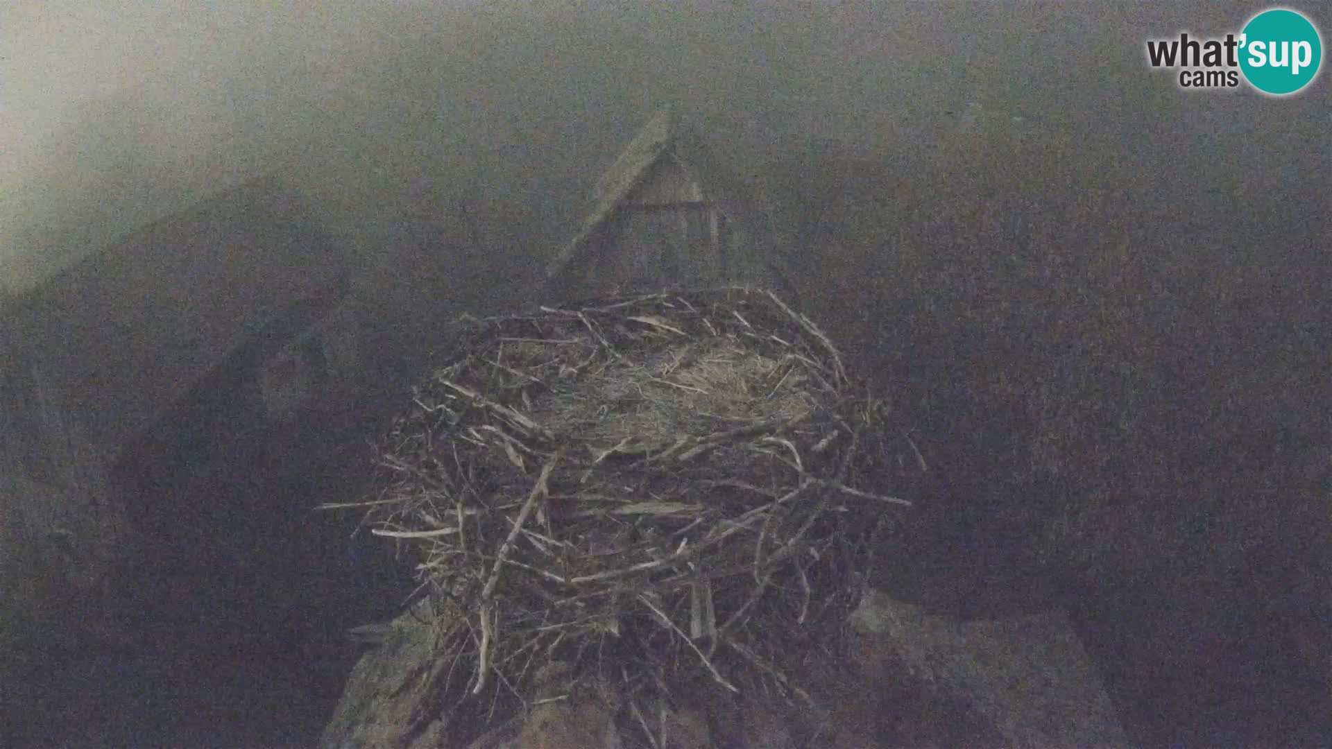 U živo Europsko selo roda – Park prirode Lonjsko polje