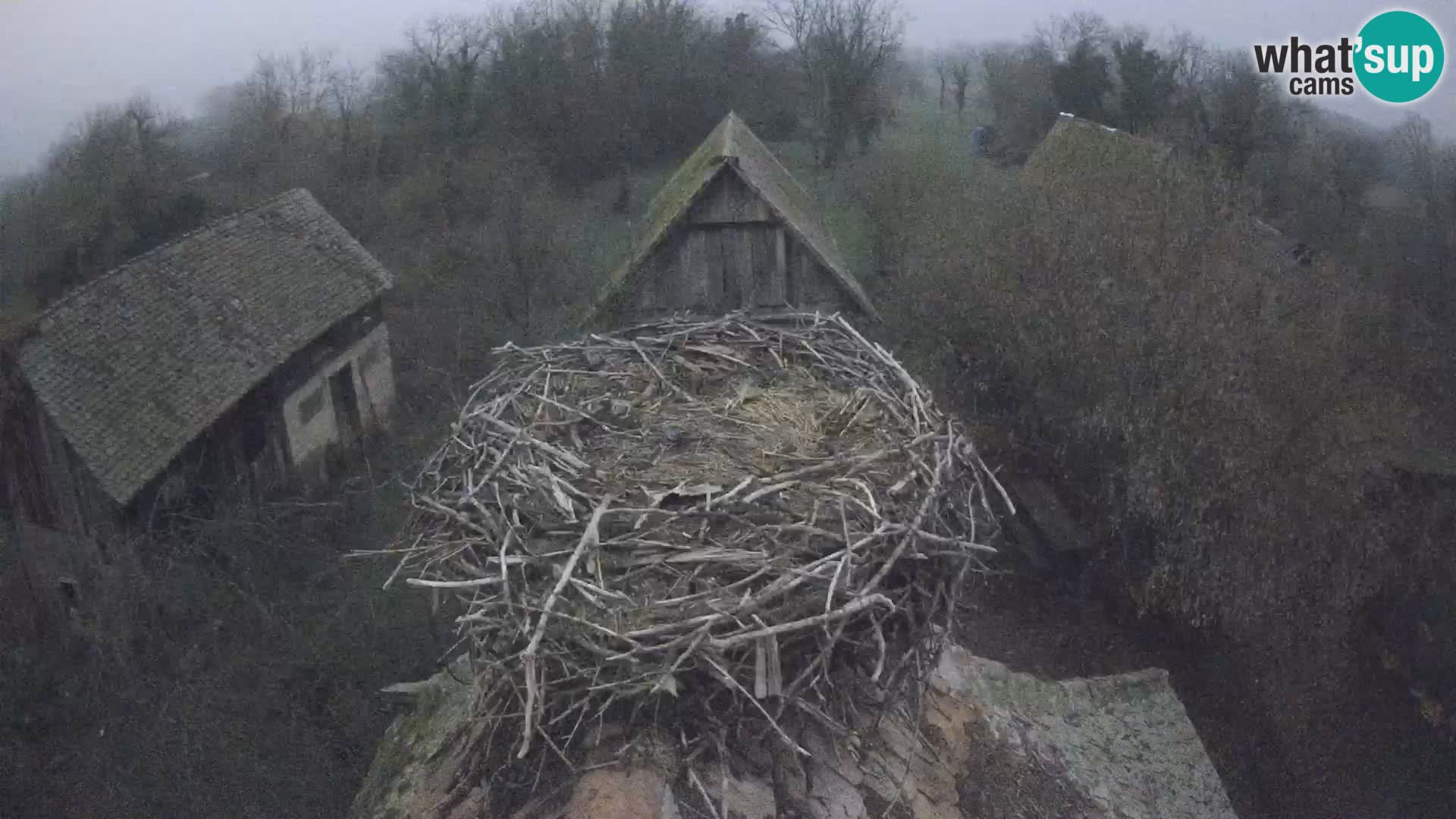 U živo Europsko selo roda – Park prirode Lonjsko polje