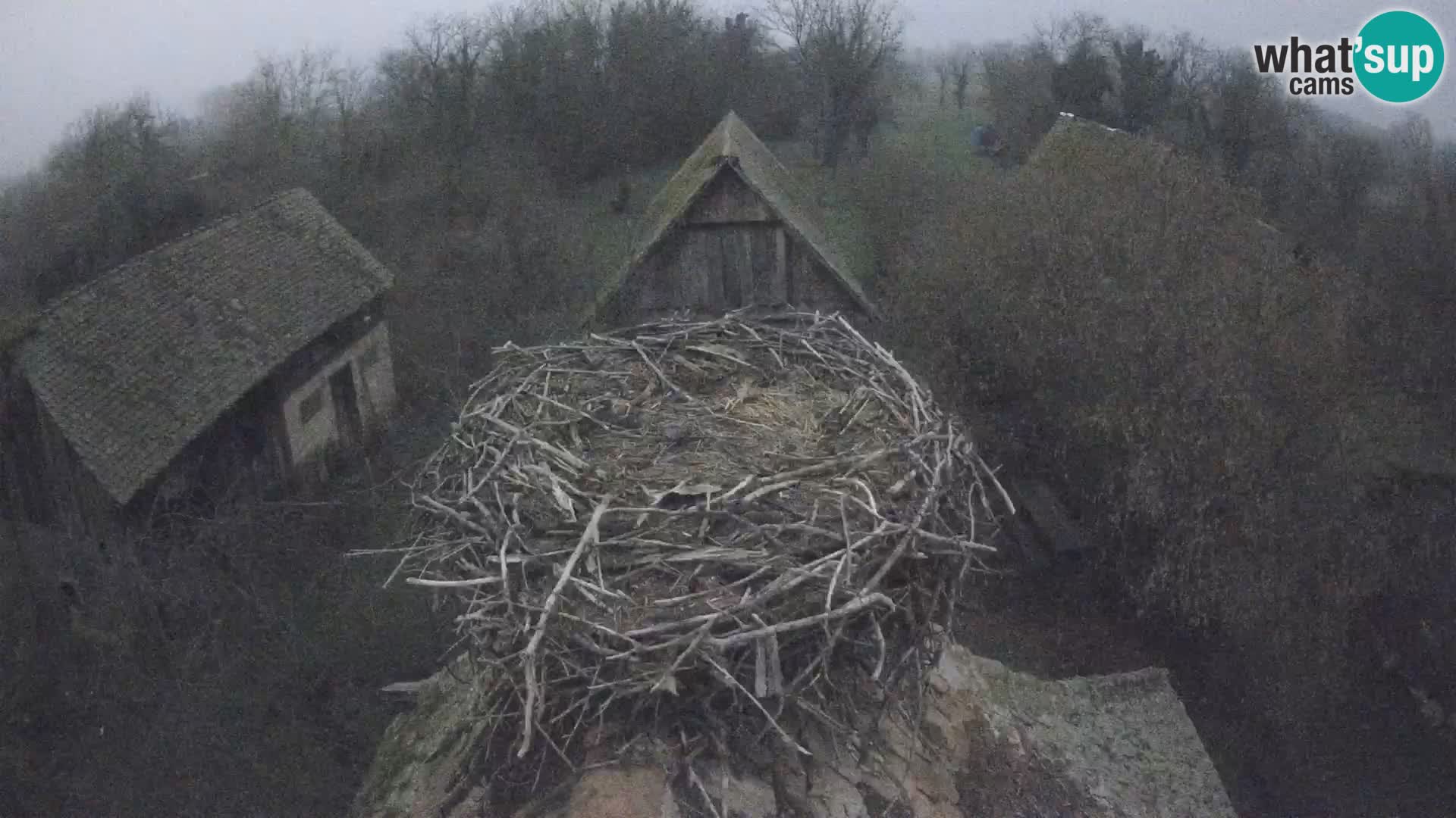 U živo Europsko selo roda – Park prirode Lonjsko polje