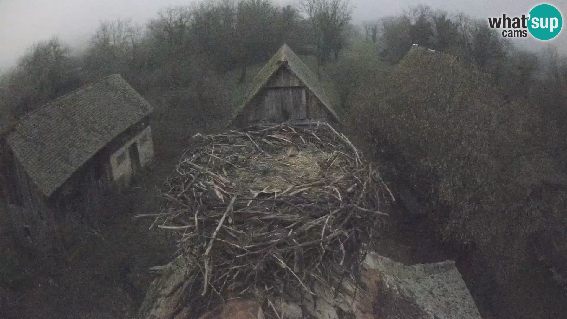 U živo Europsko selo roda – Park prirode Lonjsko polje