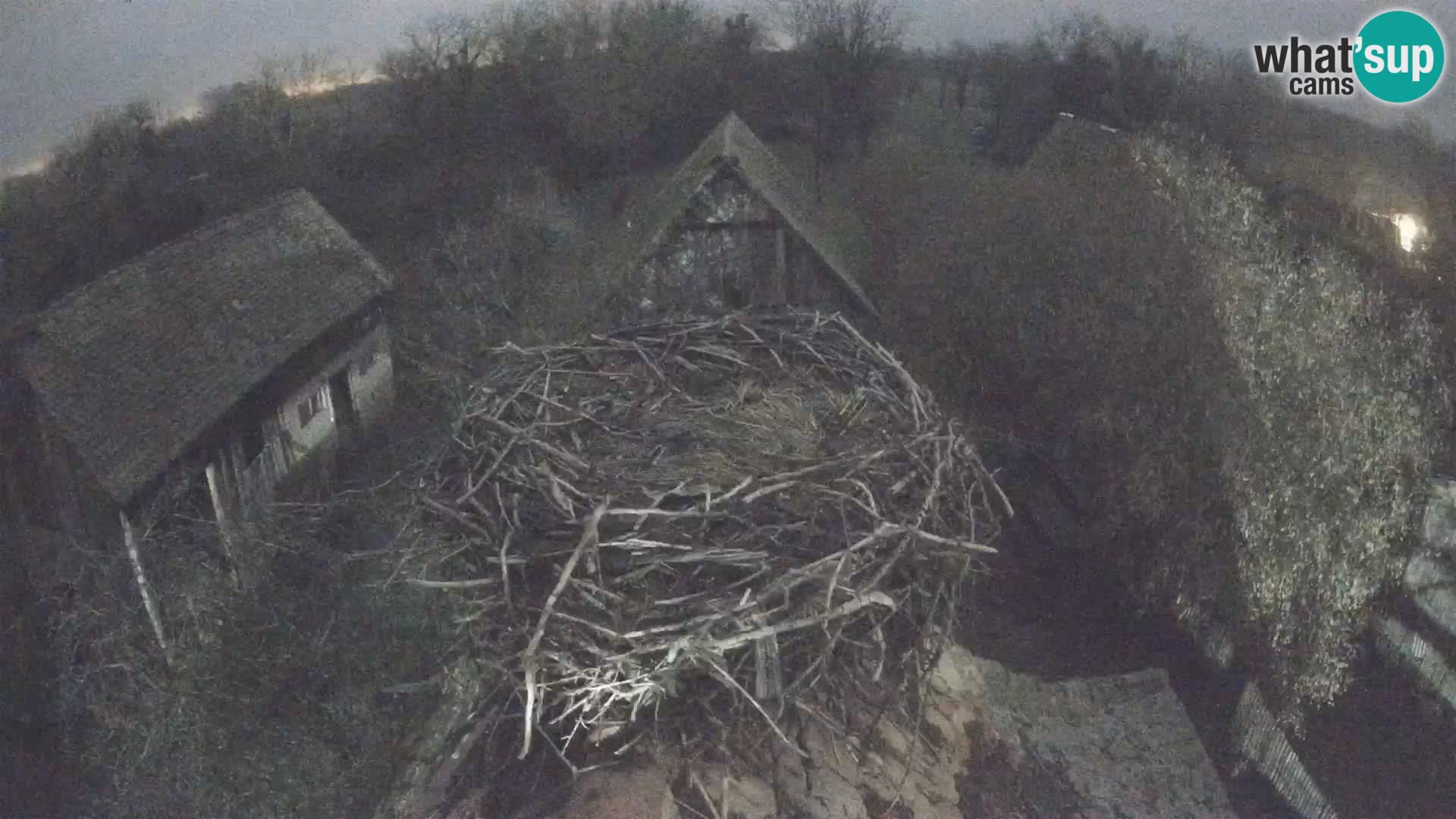 Webcam Europäisches Storchendorf – Naturpark Lonjsko polje