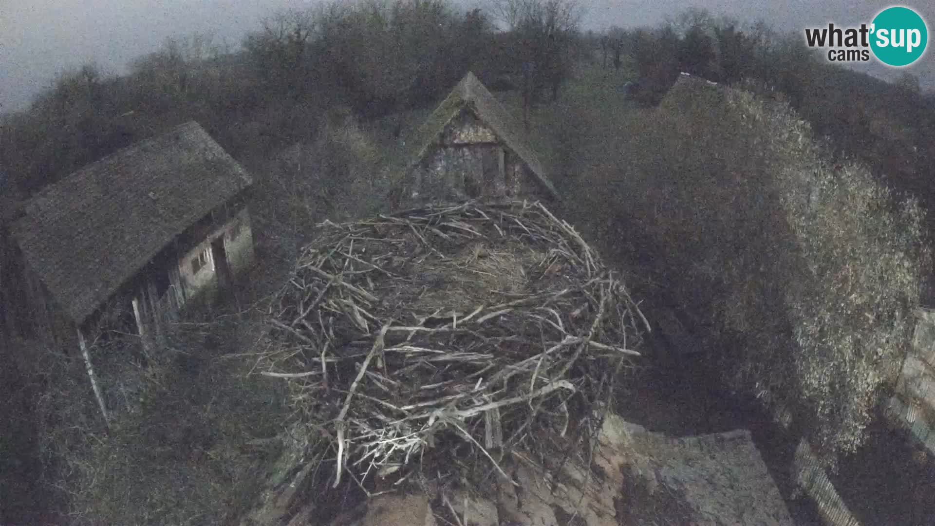 U živo Europsko selo roda – Park prirode Lonjsko polje