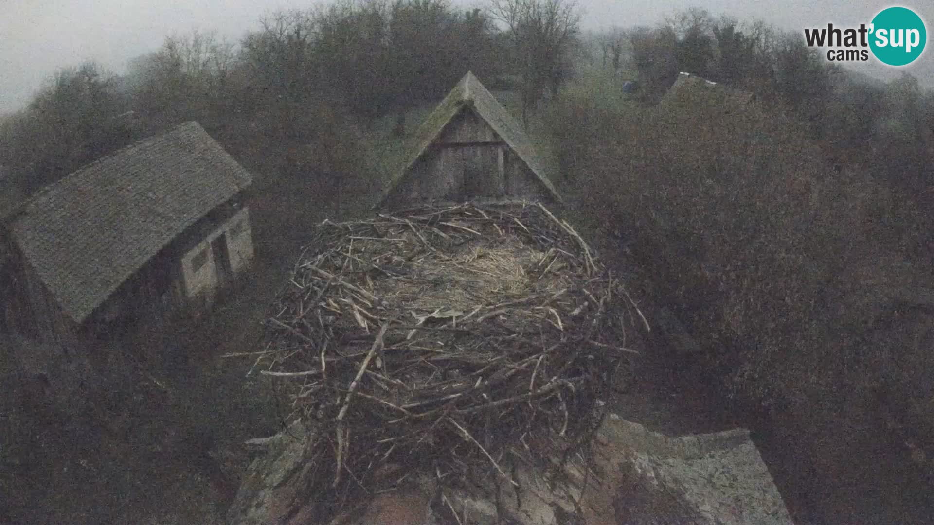 Webcam Europäisches Storchendorf – Naturpark Lonjsko polje