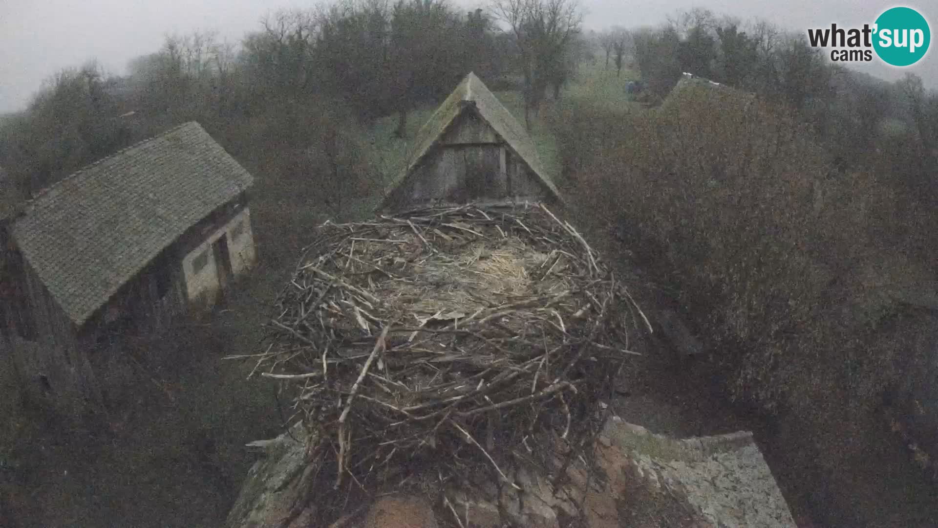 Webcam Europäisches Storchendorf – Naturpark Lonjsko polje
