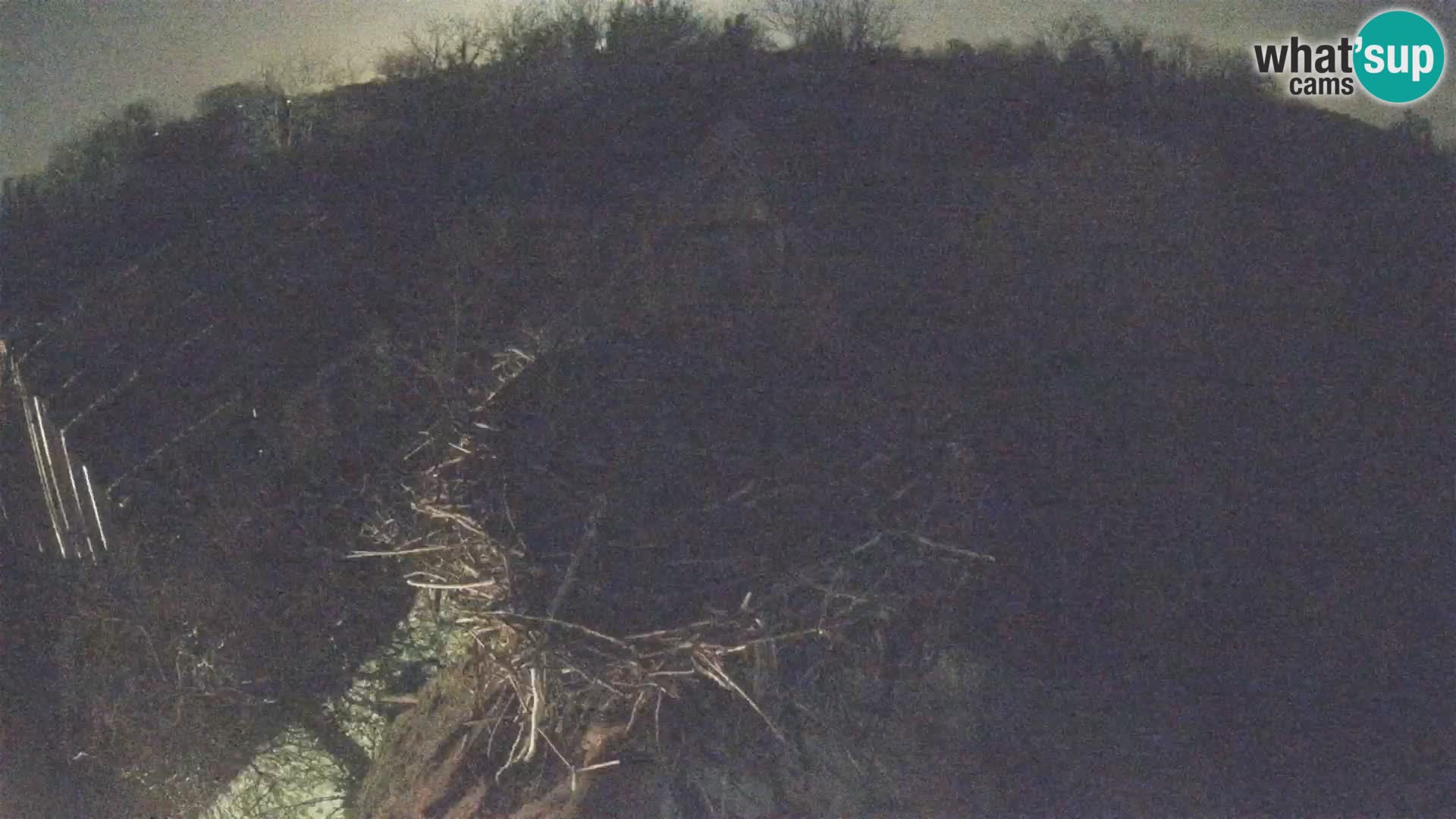 Villaggio delle cicogne europee webcam Parco naturale di Lonjsko polje