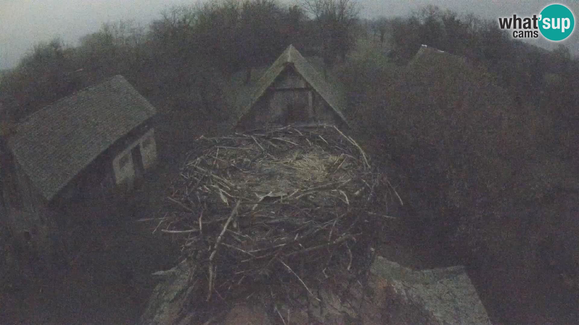 Webcam Europäisches Storchendorf – Naturpark Lonjsko polje