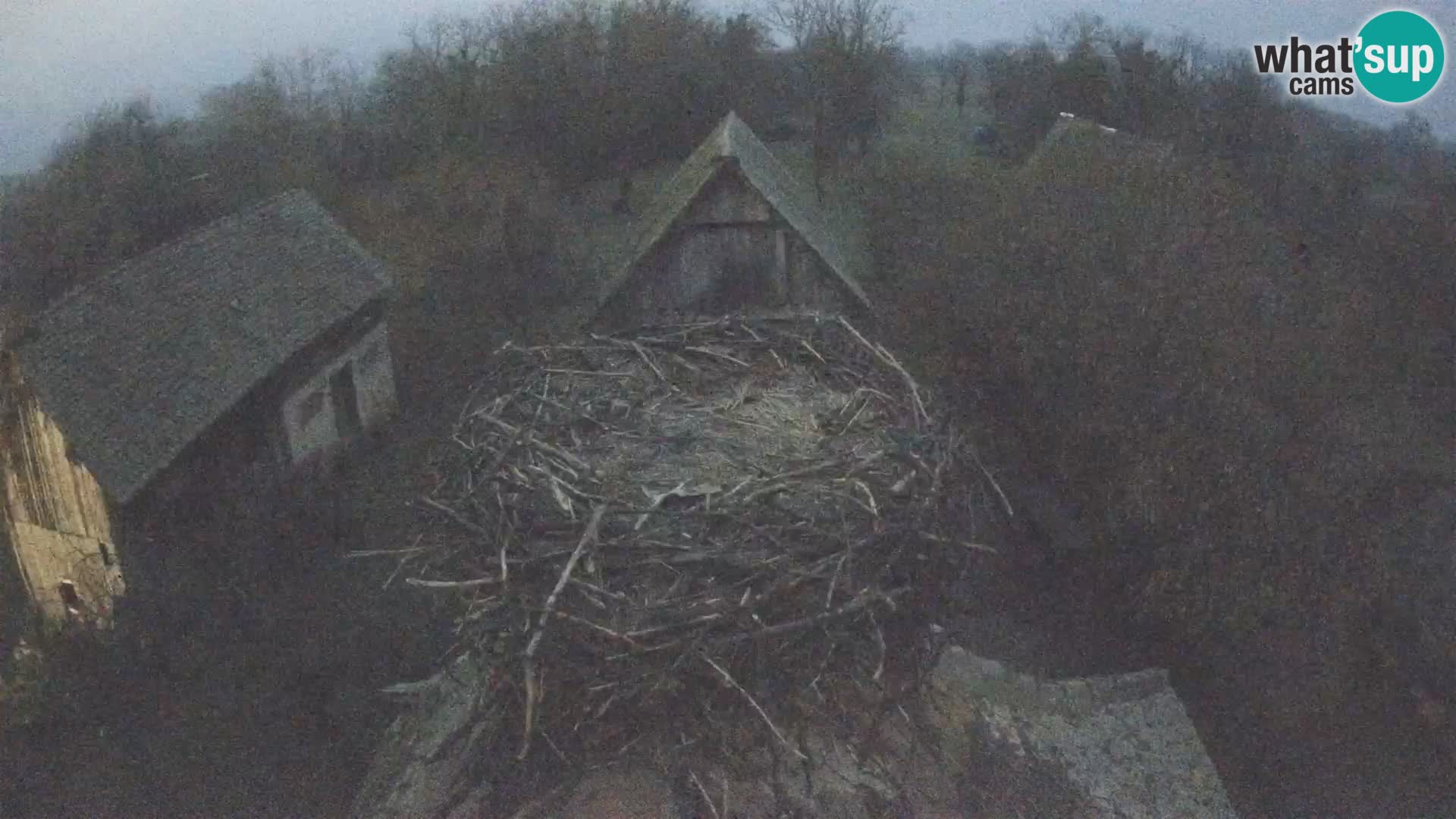 U živo Europsko selo roda – Park prirode Lonjsko polje