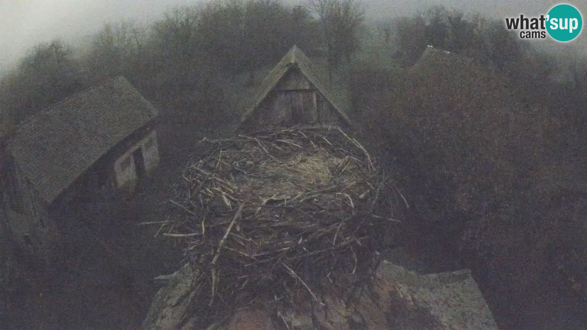 Webcam Europäisches Storchendorf – Naturpark Lonjsko polje
