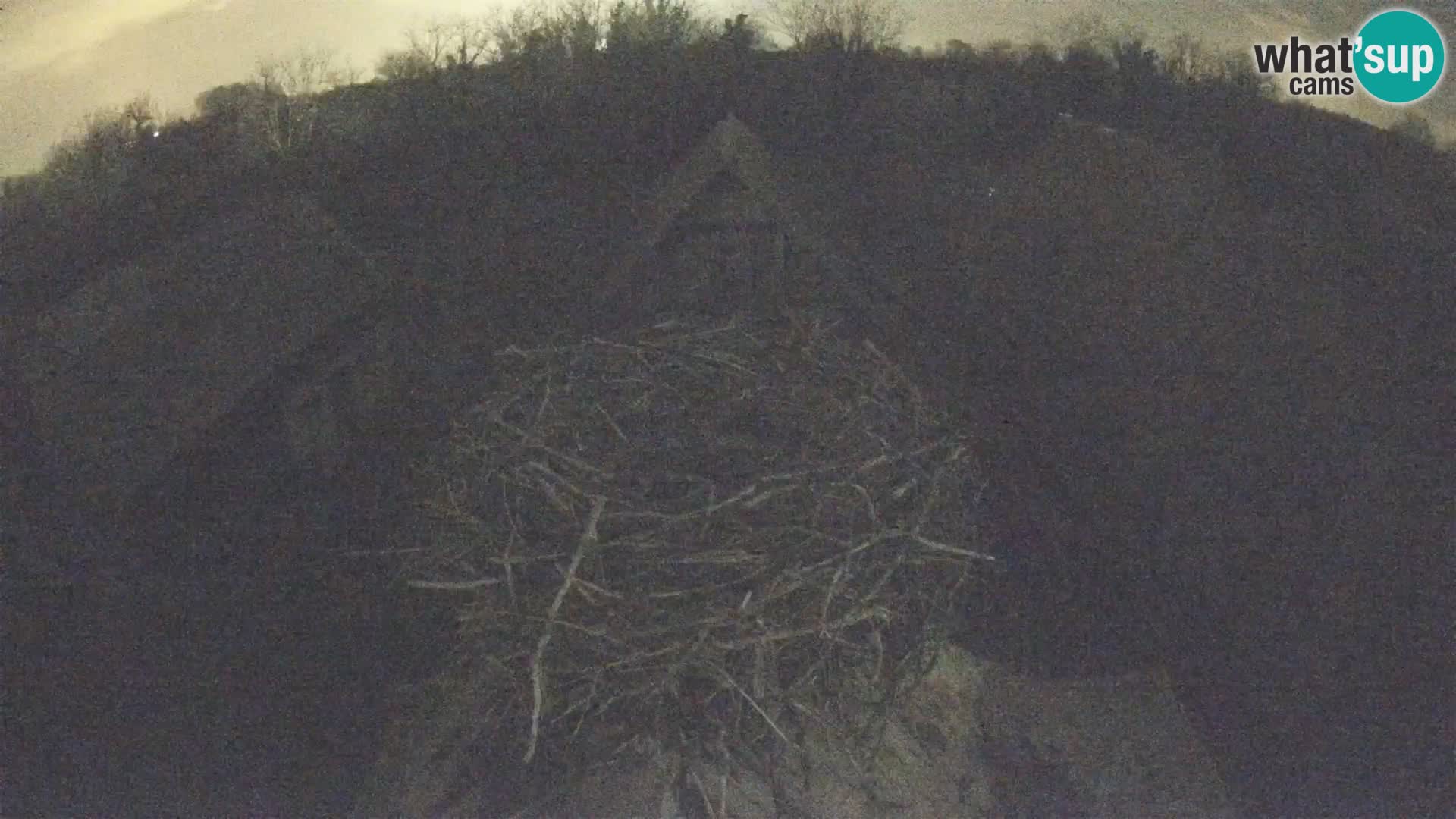 U živo Europsko selo roda – Park prirode Lonjsko polje