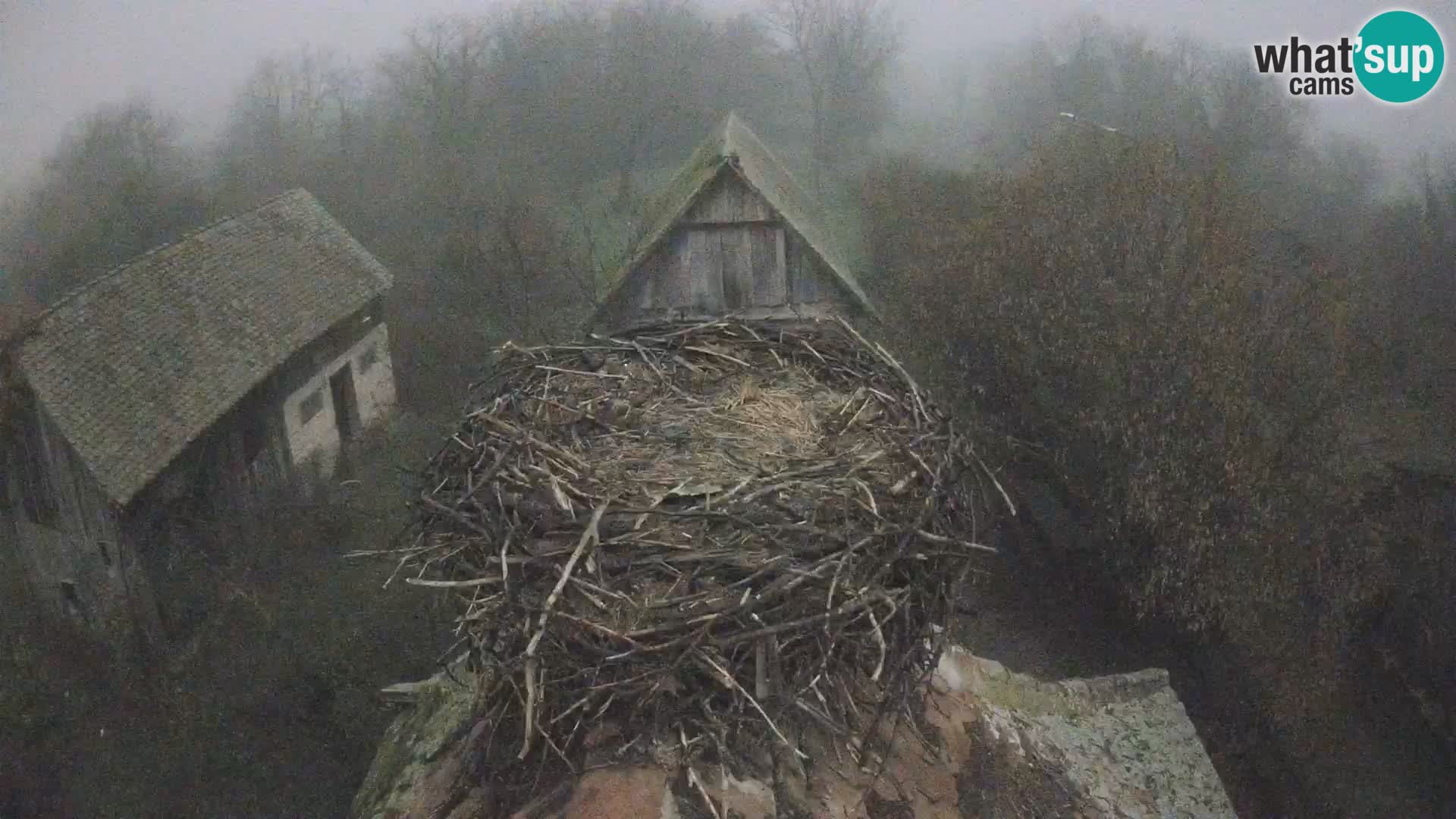 U živo Europsko selo roda – Park prirode Lonjsko polje