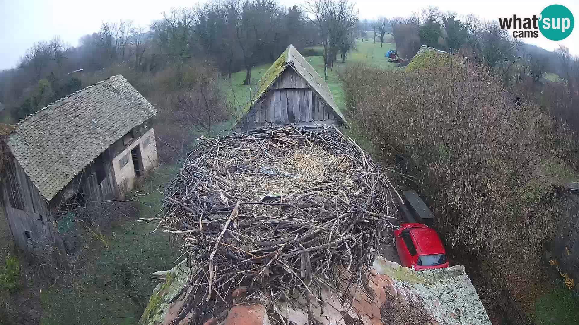 U živo Europsko selo roda – Park prirode Lonjsko polje