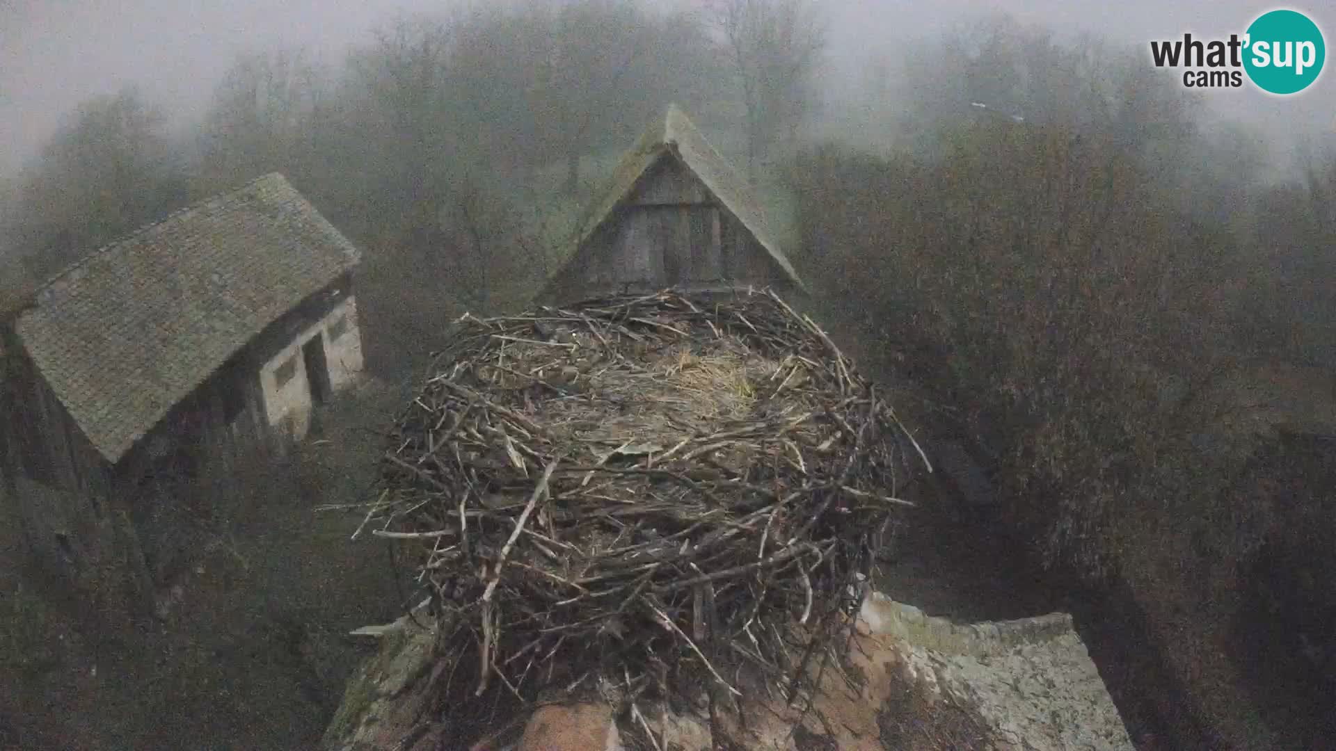 U živo Europsko selo roda – Park prirode Lonjsko polje