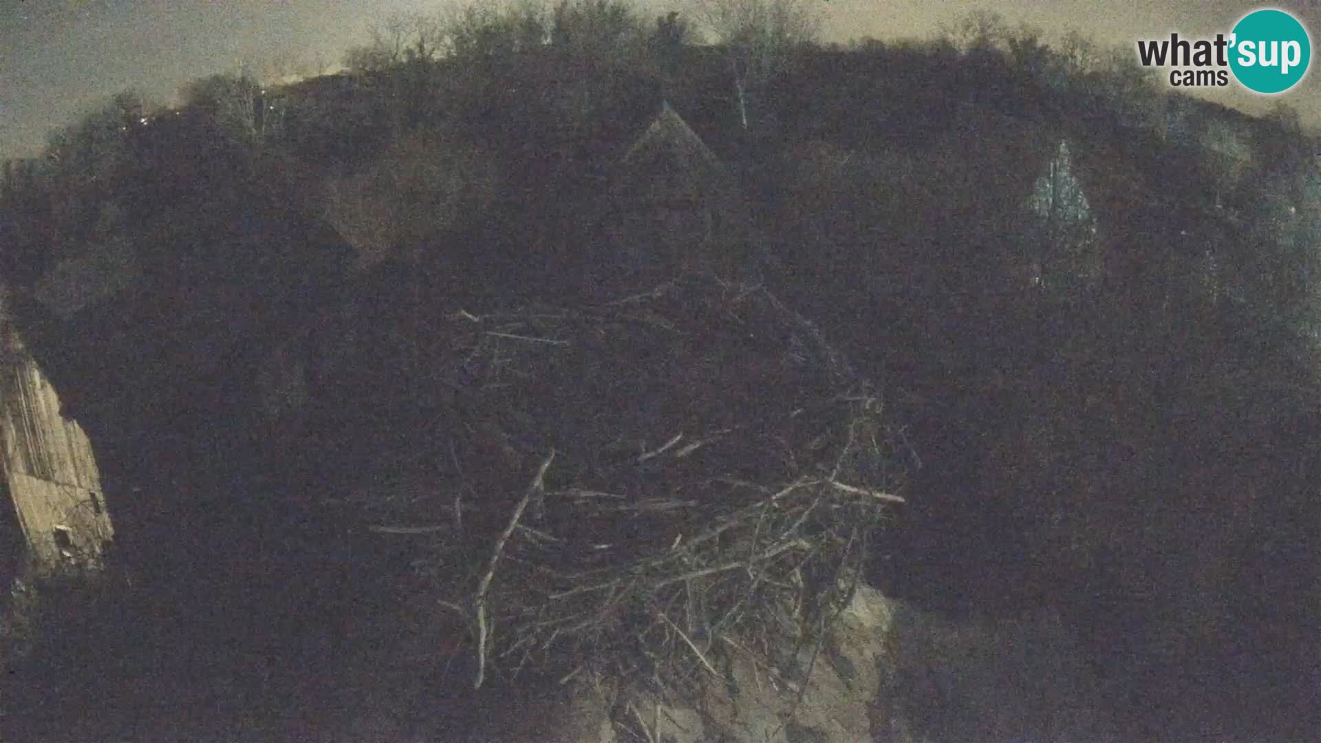 Pueblo europeo de cigüeñas camera en vivo Parque Natural Lonjsko polje