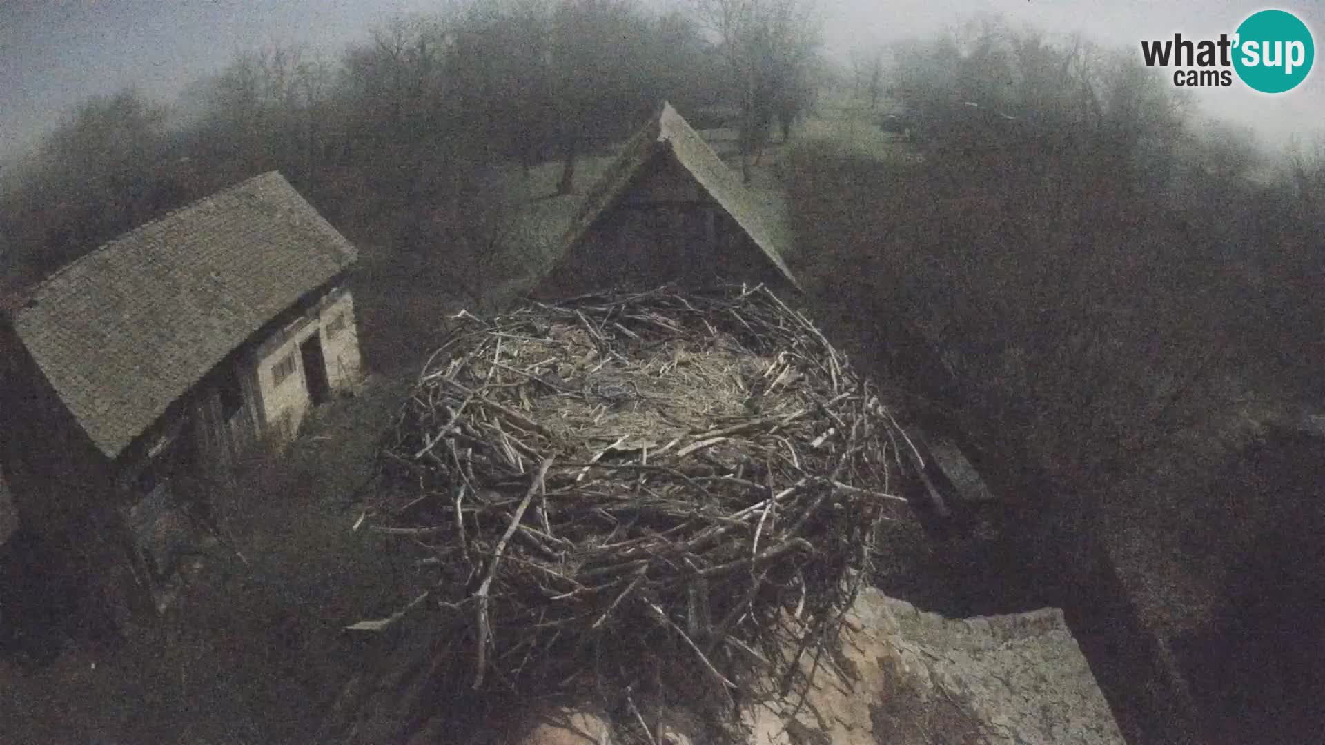 U živo Europsko selo roda – Park prirode Lonjsko polje