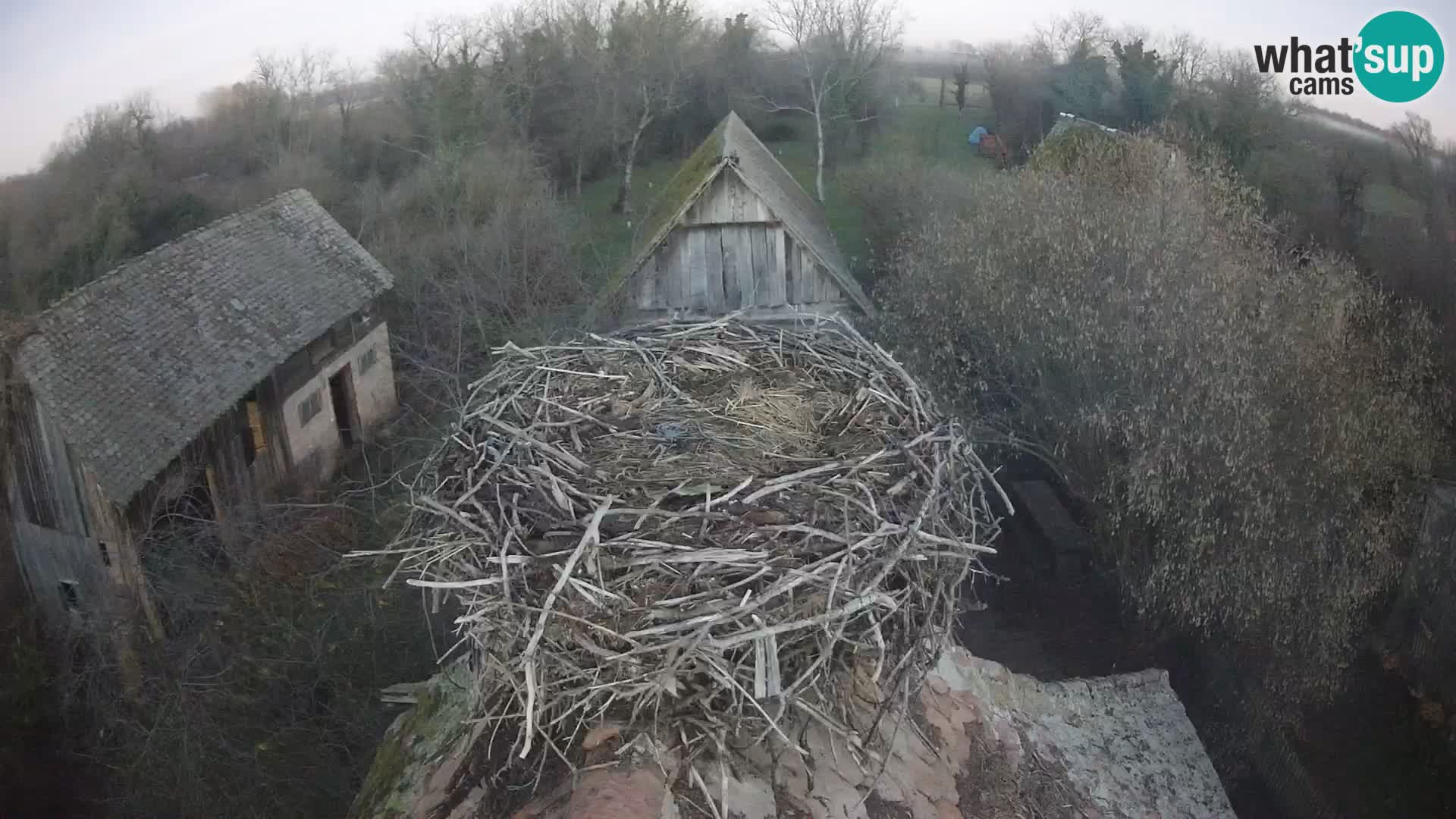 U živo Europsko selo roda – Park prirode Lonjsko polje