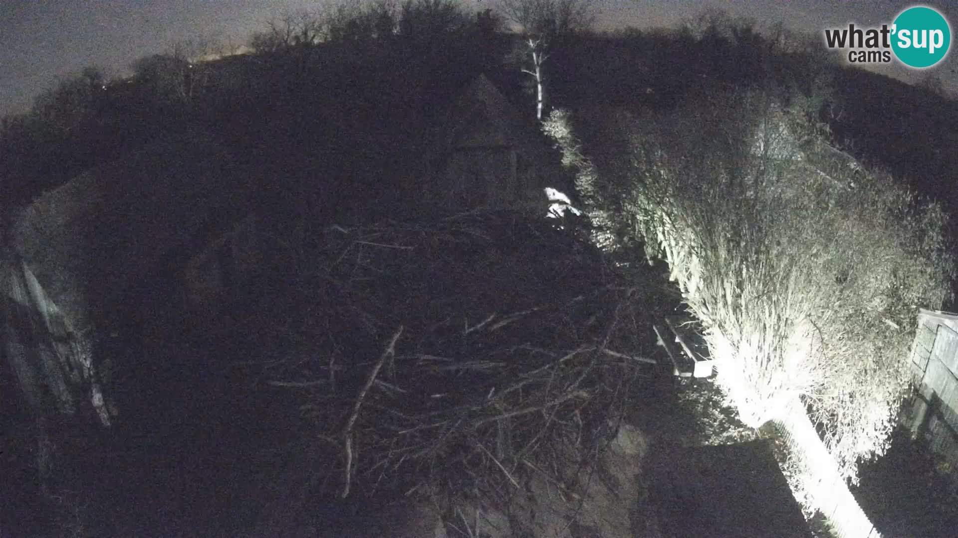 Pueblo europeo de cigüeñas camera en vivo Parque Natural Lonjsko polje
