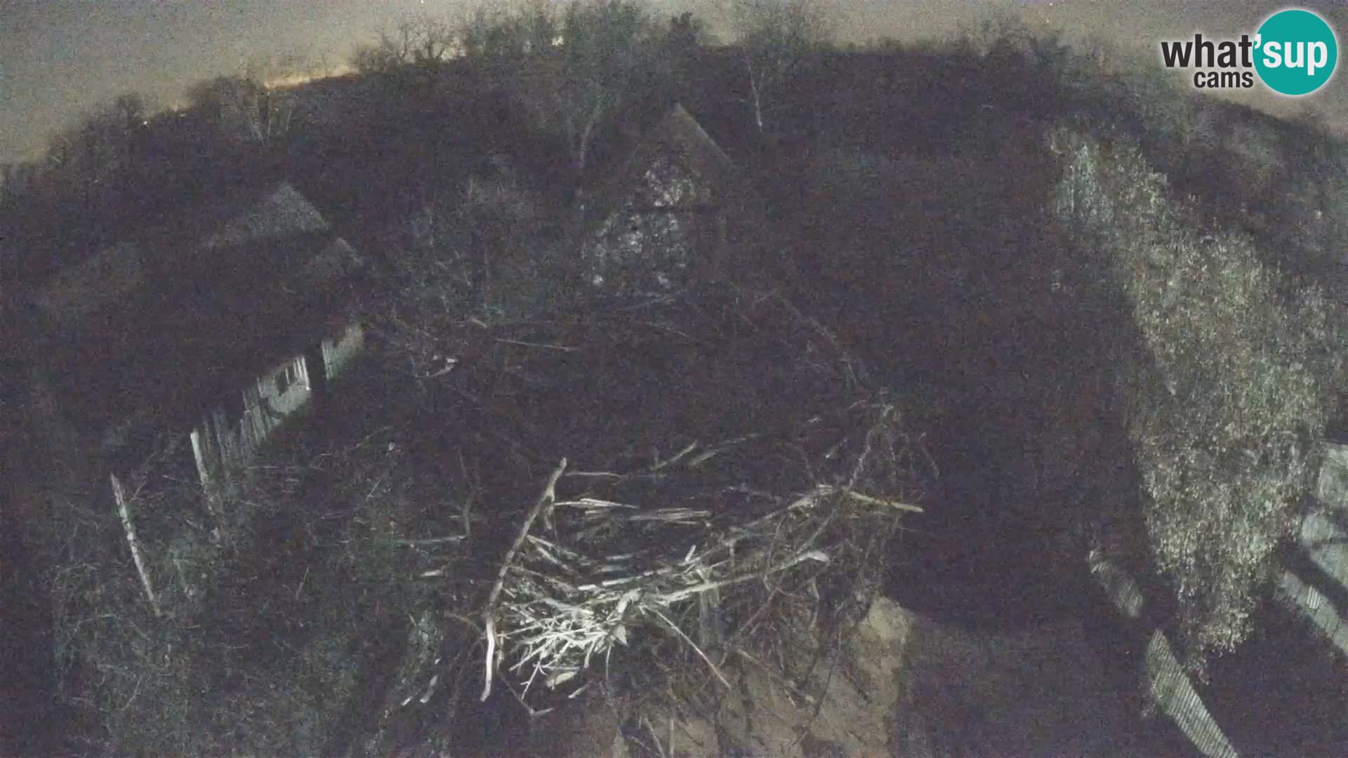 Village européen de cigognes webcam Parc naturel de Lonjsko polje