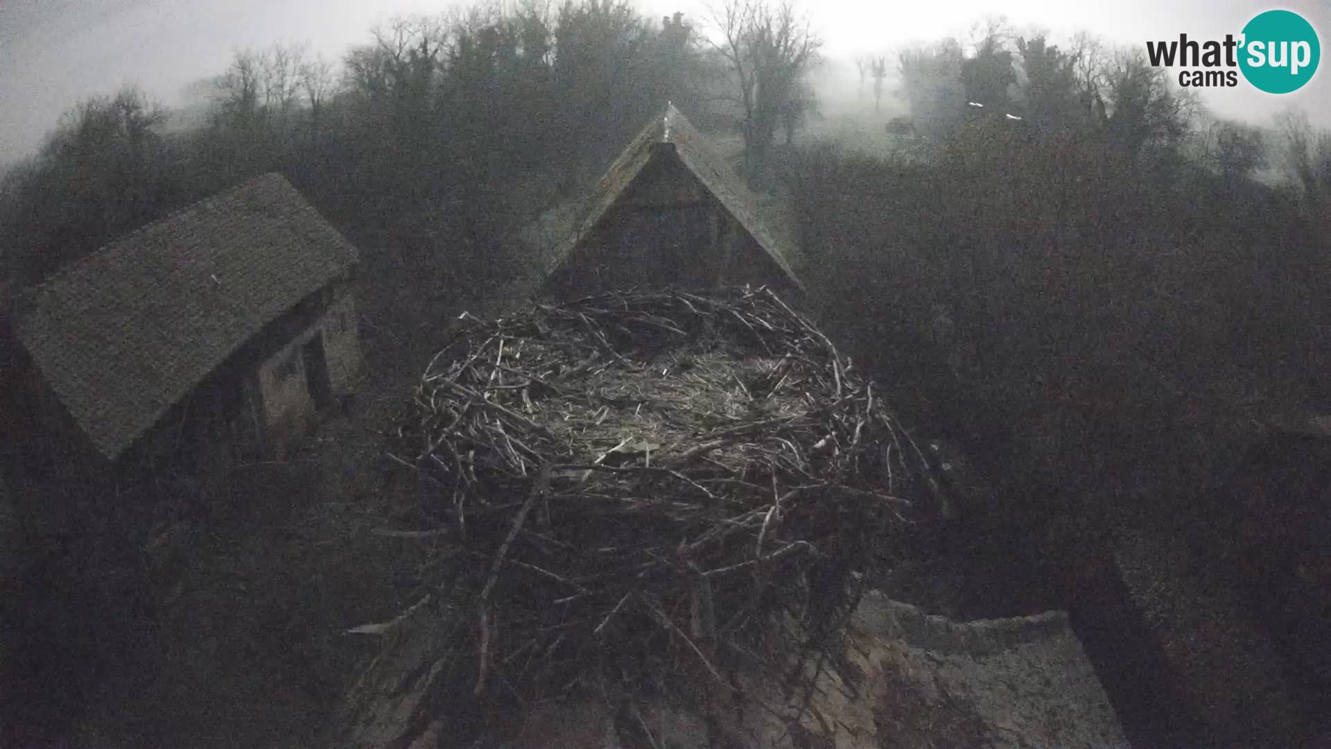 U živo Europsko selo roda – Park prirode Lonjsko polje