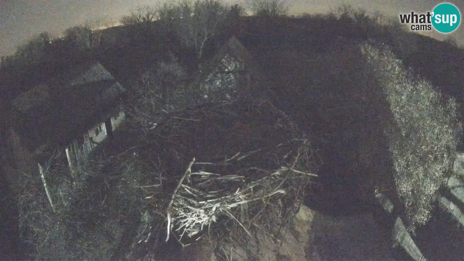 Villaggio delle cicogne europee webcam Parco naturale di Lonjsko polje