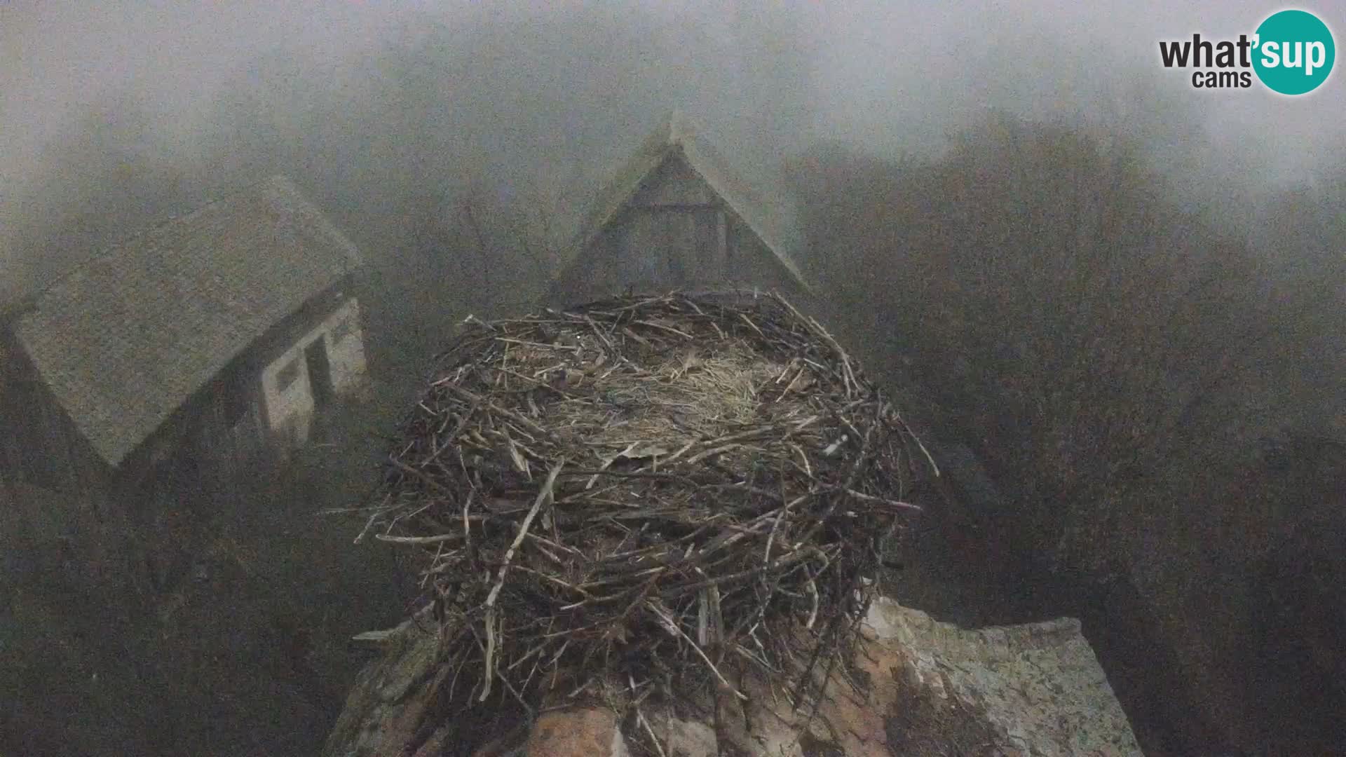 U živo Europsko selo roda – Park prirode Lonjsko polje