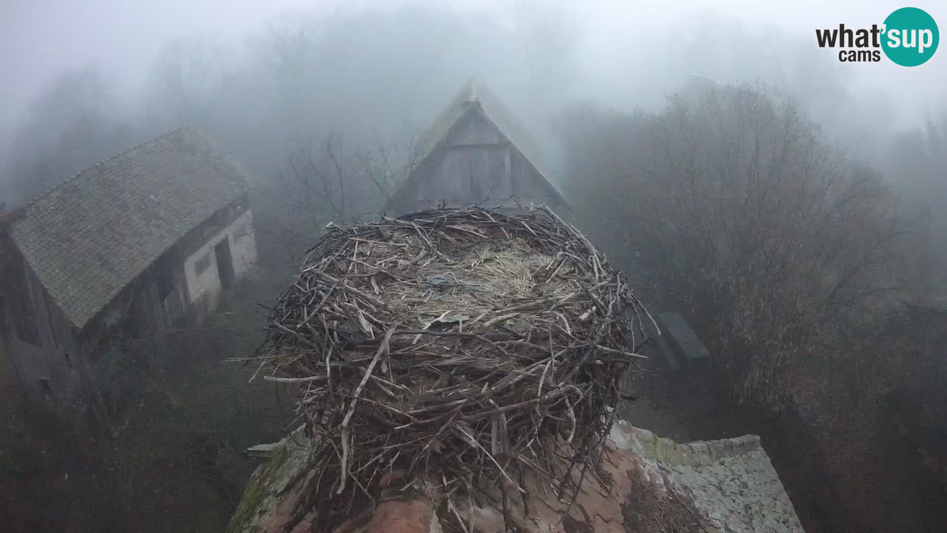 Webcam Europäisches Storchendorf – Naturpark Lonjsko polje