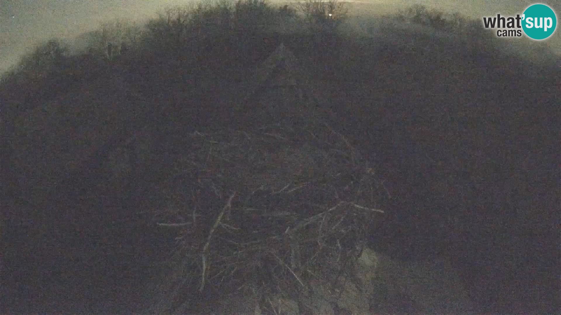 Evropska vas štorklje – Krajinski park Lonjsko polje spletna kamera