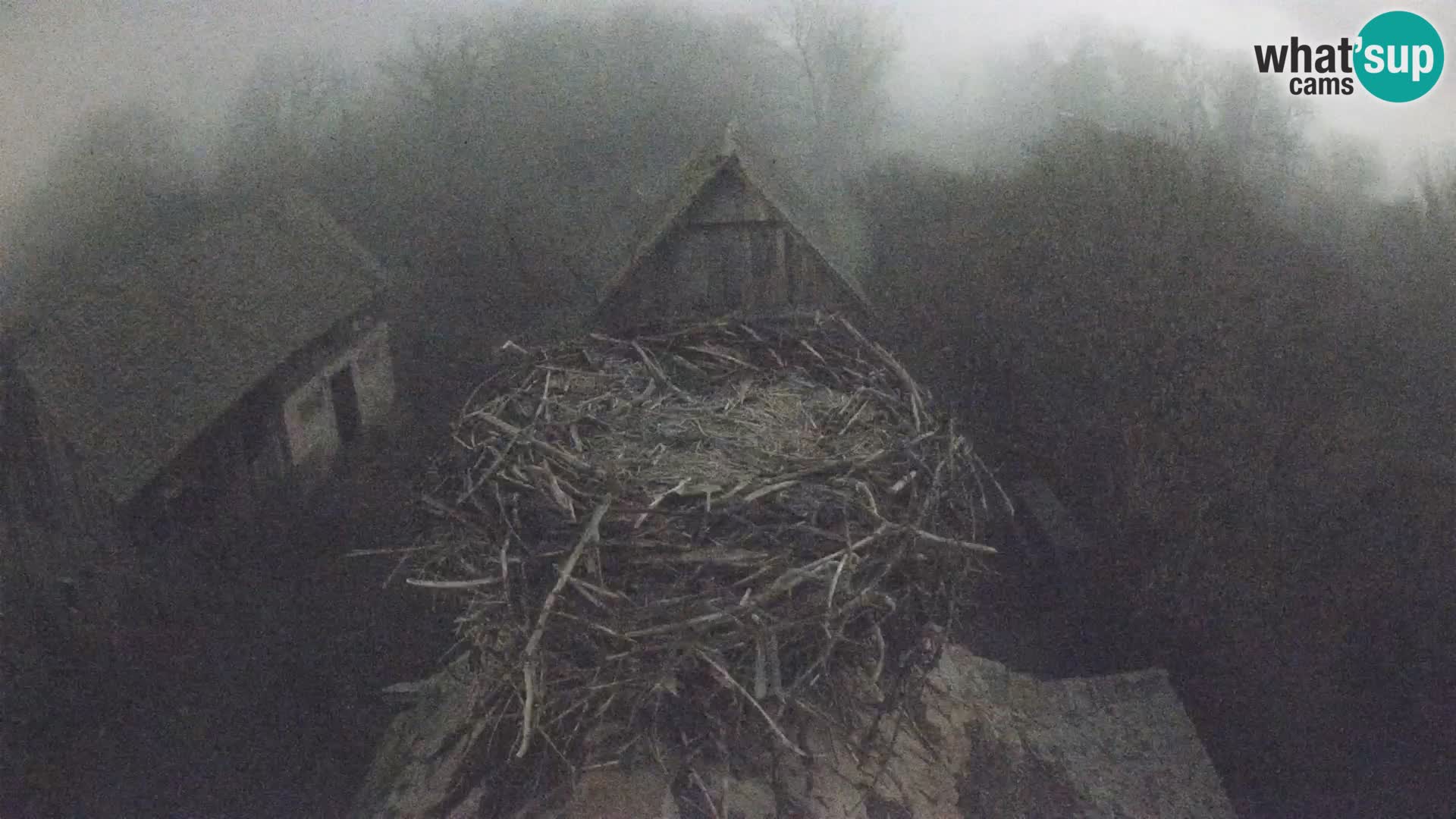 U živo Europsko selo roda – Park prirode Lonjsko polje