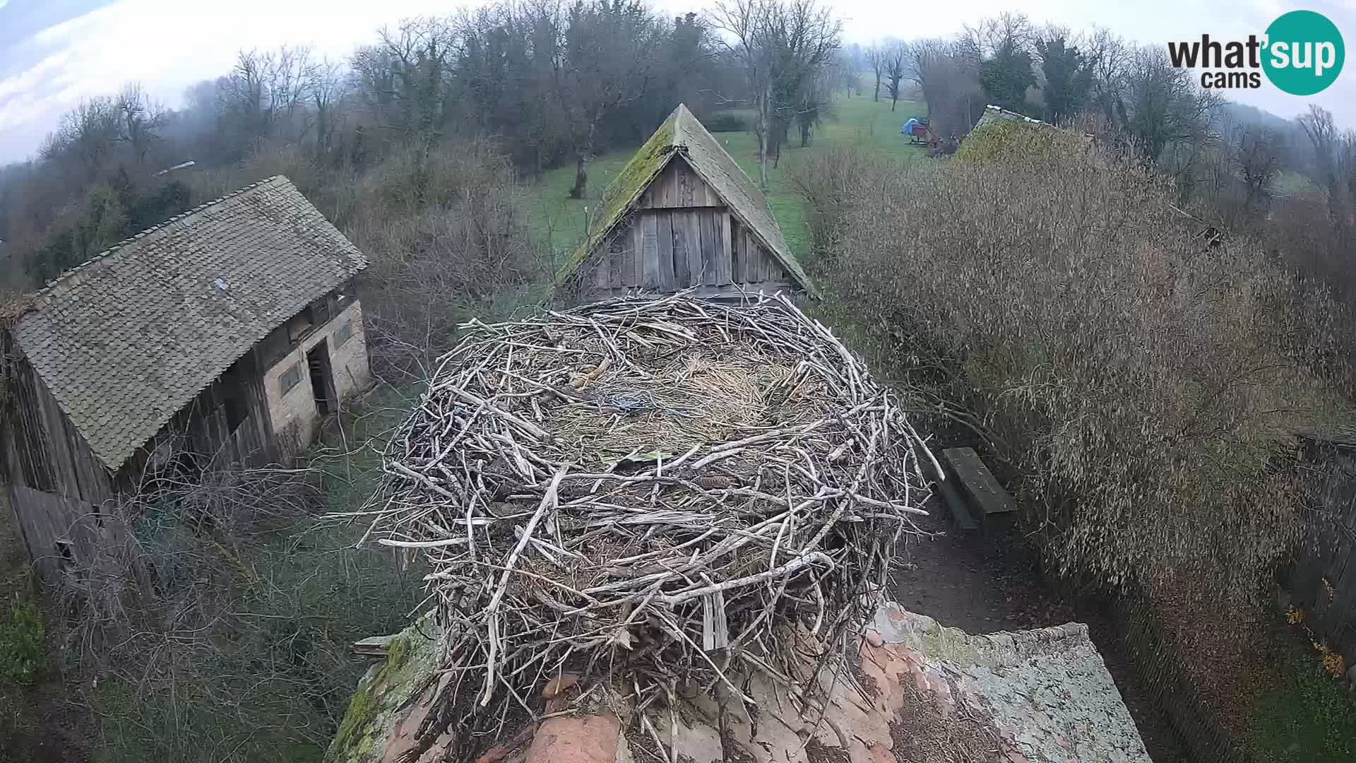 U živo Europsko selo roda – Park prirode Lonjsko polje