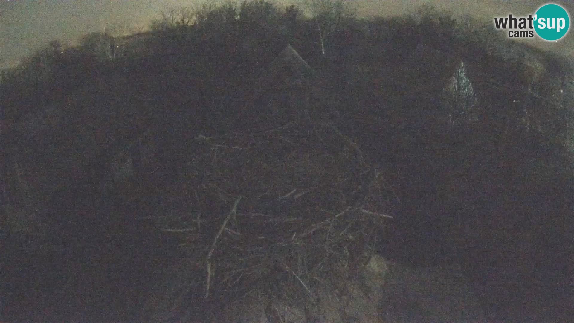 Evropska vas štorklje – Krajinski park Lonjsko polje spletna kamera