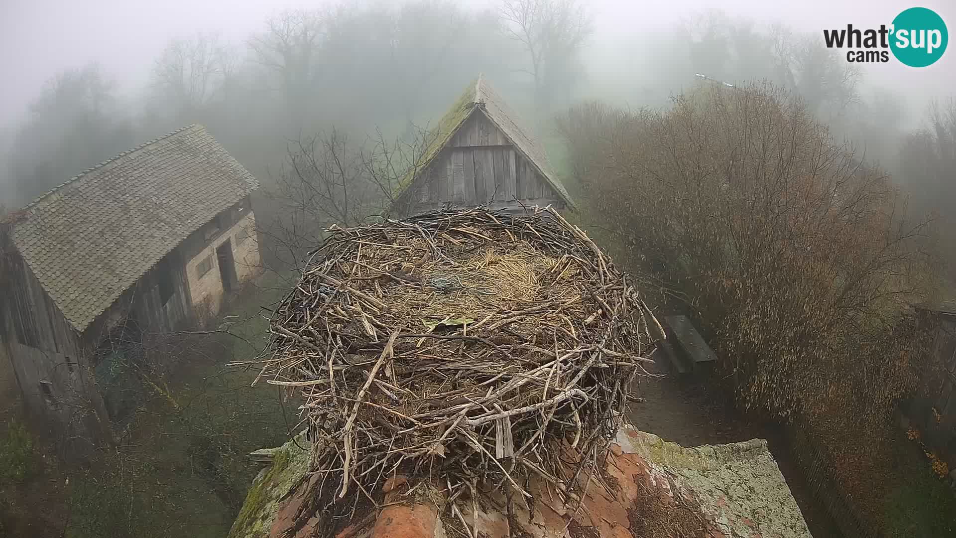 U živo Europsko selo roda – Park prirode Lonjsko polje