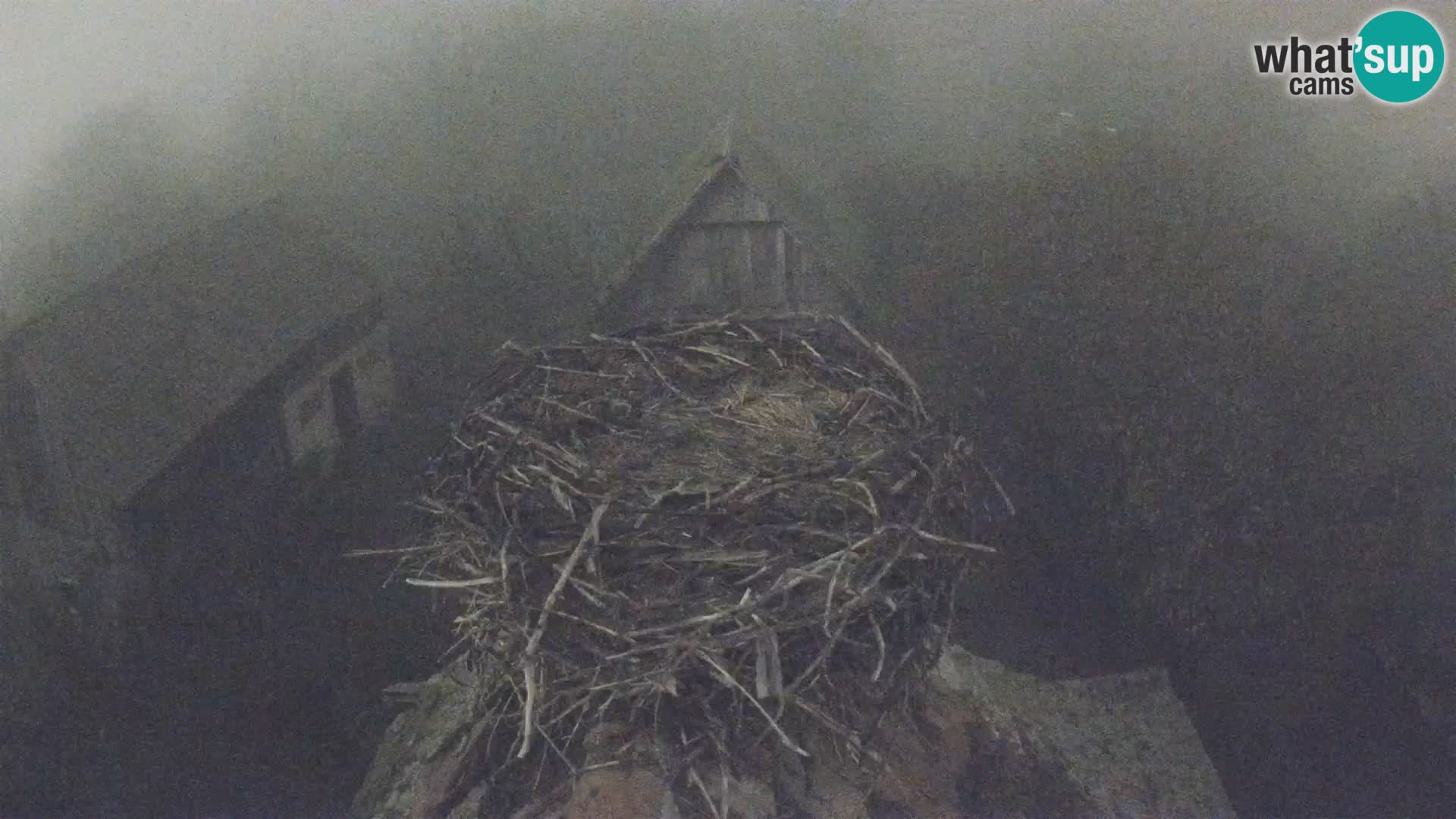 U živo Europsko selo roda – Park prirode Lonjsko polje