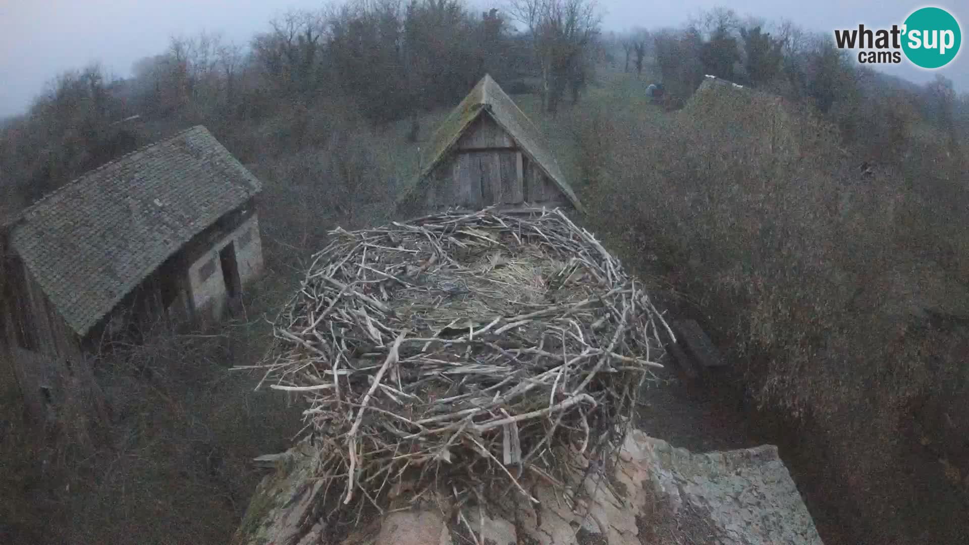 Webcam Europäisches Storchendorf – Naturpark Lonjsko polje