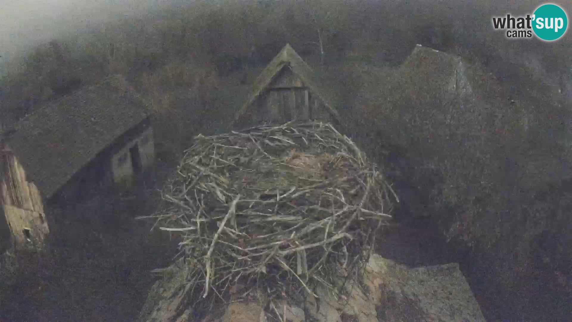 U živo Europsko selo roda – Park prirode Lonjsko polje