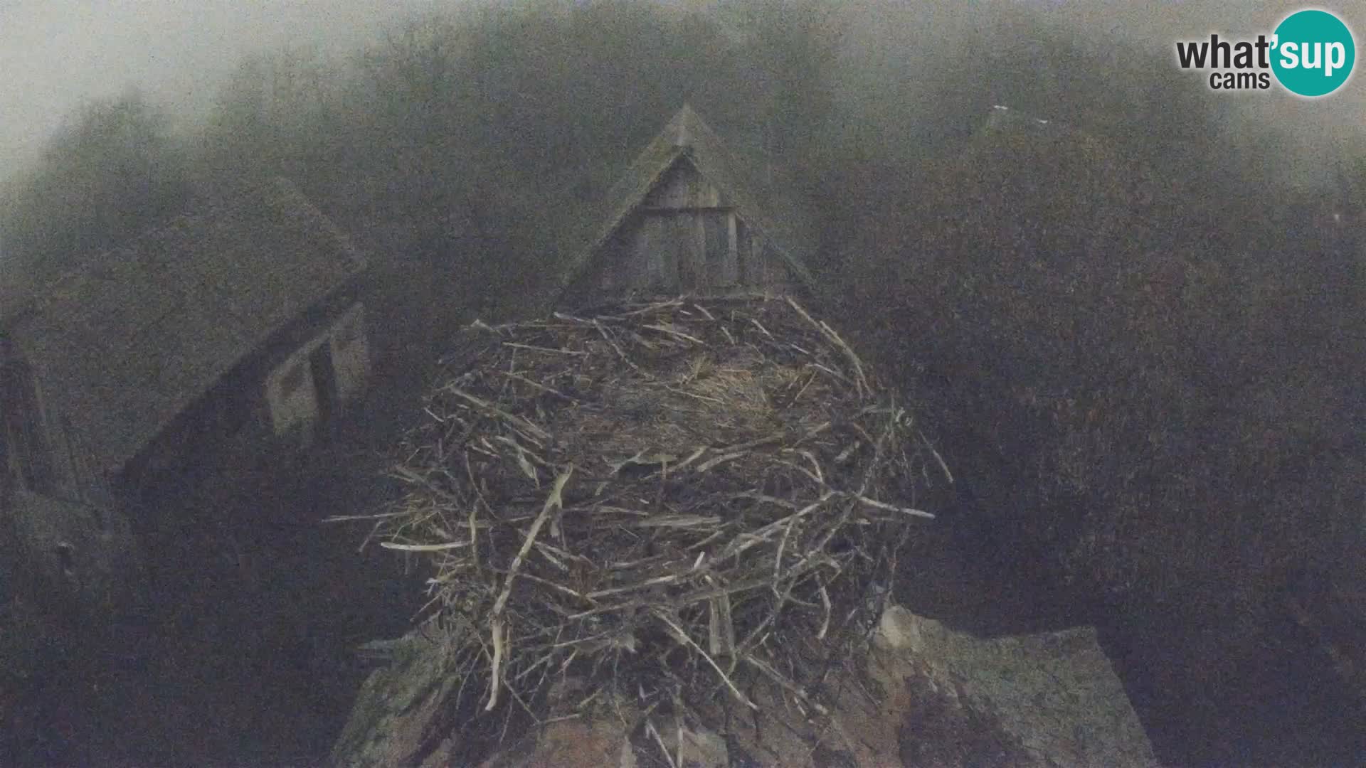 U živo Europsko selo roda – Park prirode Lonjsko polje