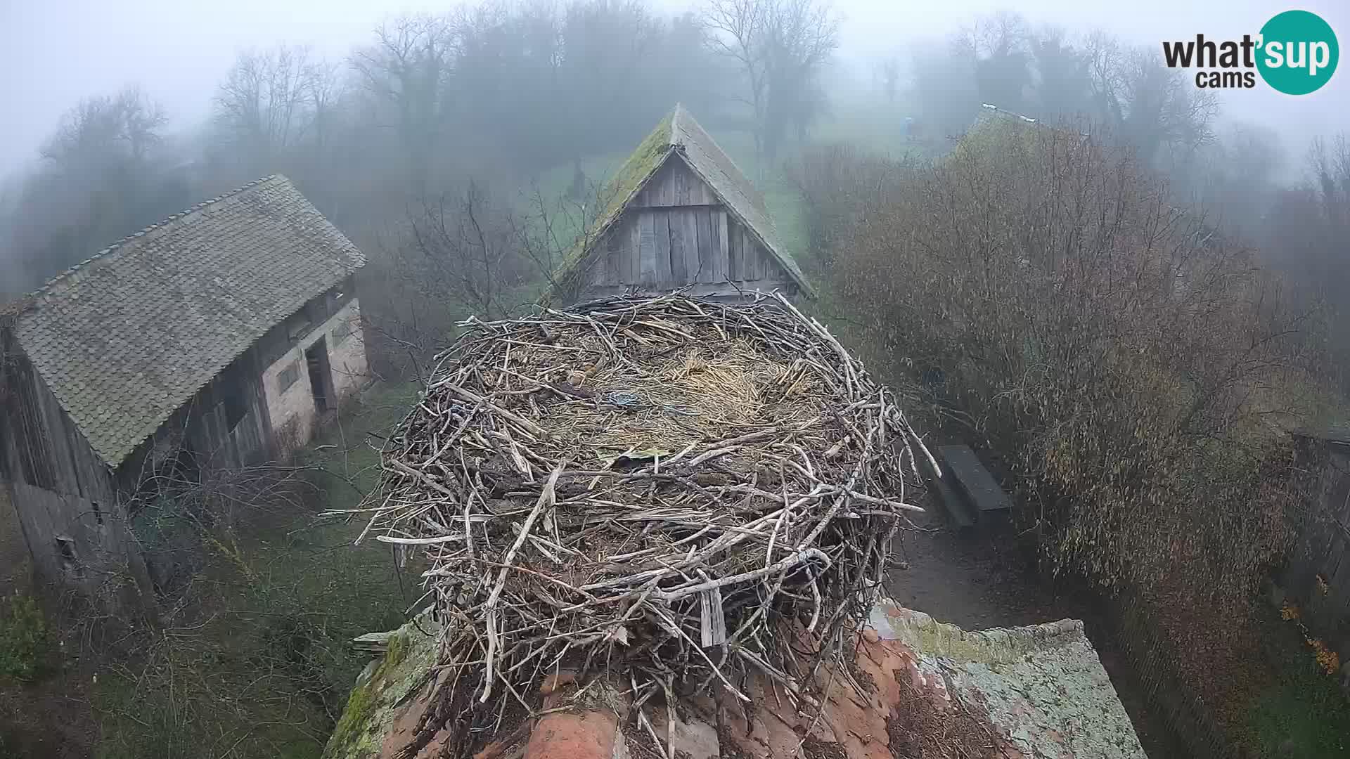 U živo Europsko selo roda – Park prirode Lonjsko polje