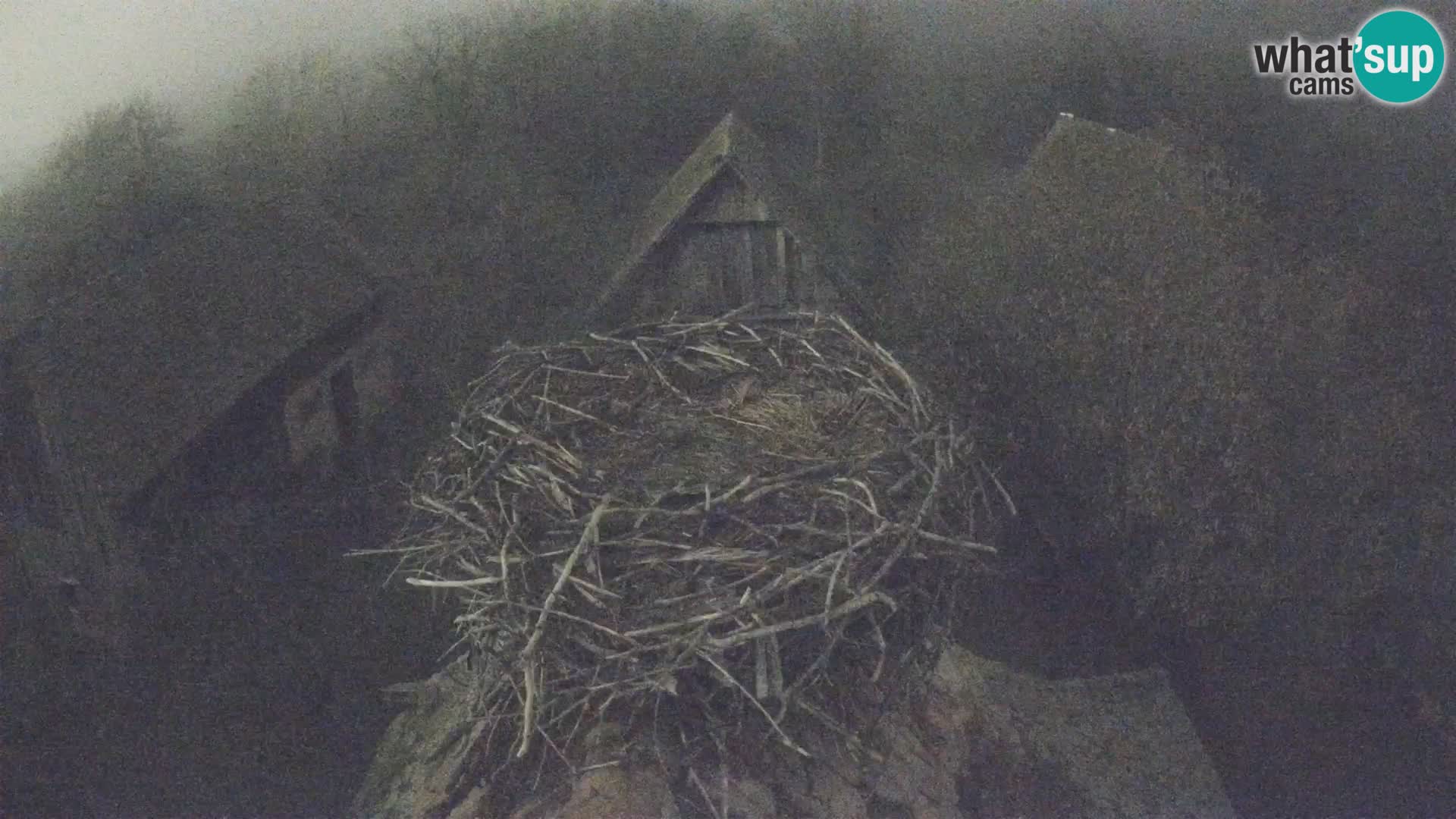 U živo Europsko selo roda – Park prirode Lonjsko polje